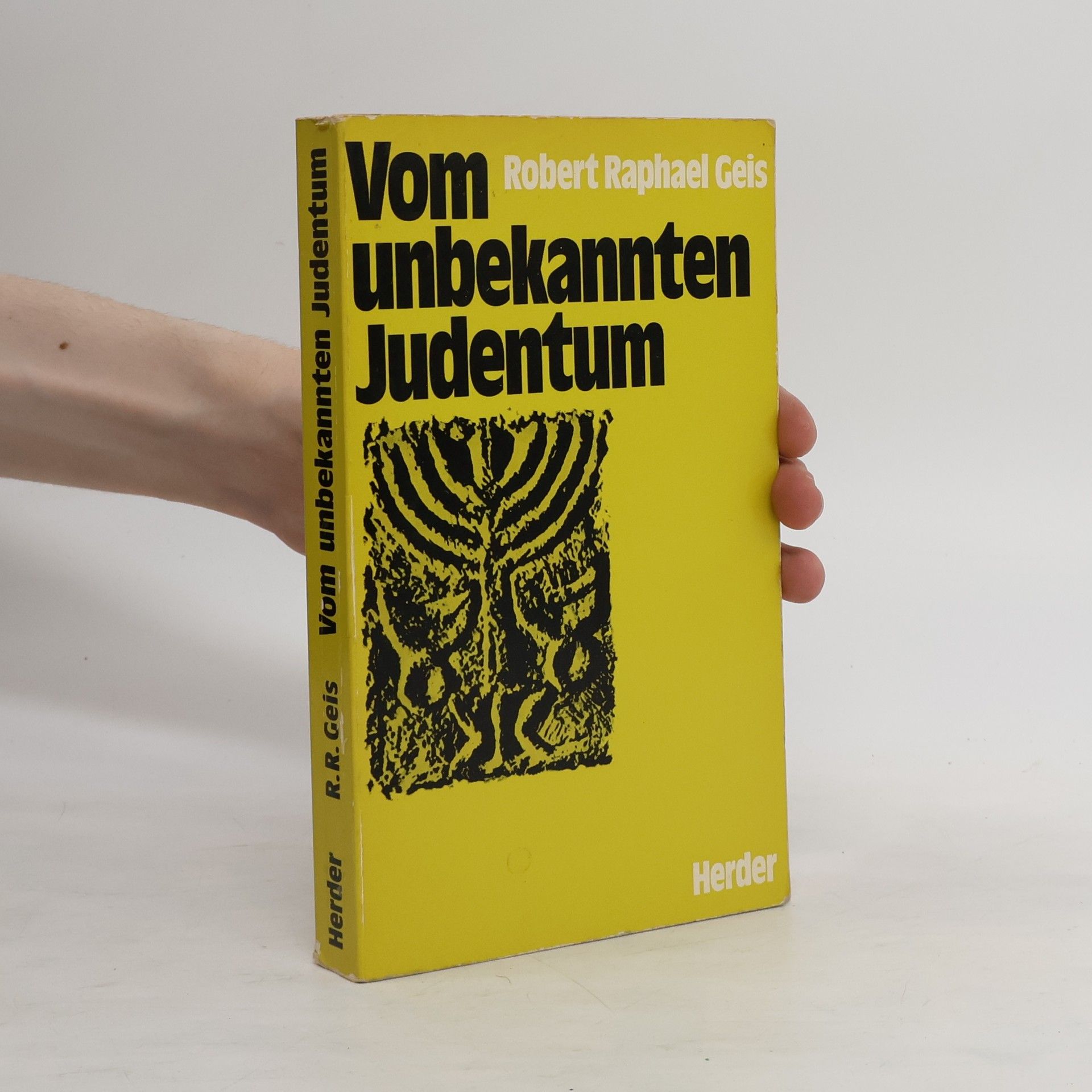 Robert Raphael Geis Vom unbekannten Judentum