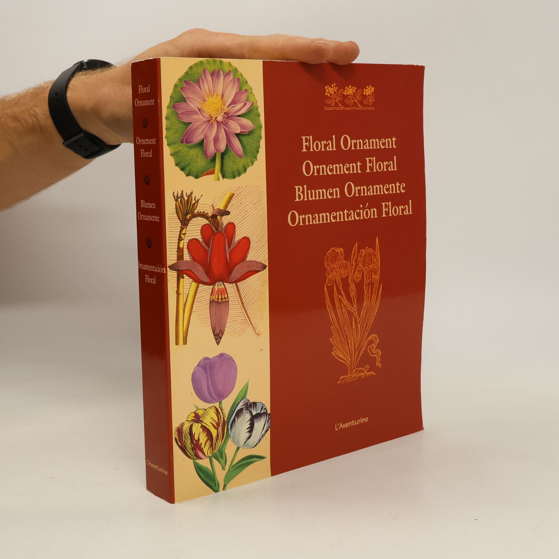 Clara Schmidt Floral Ornament. Ornament Floral. Blumen Ornamente. Ornamentación Floral