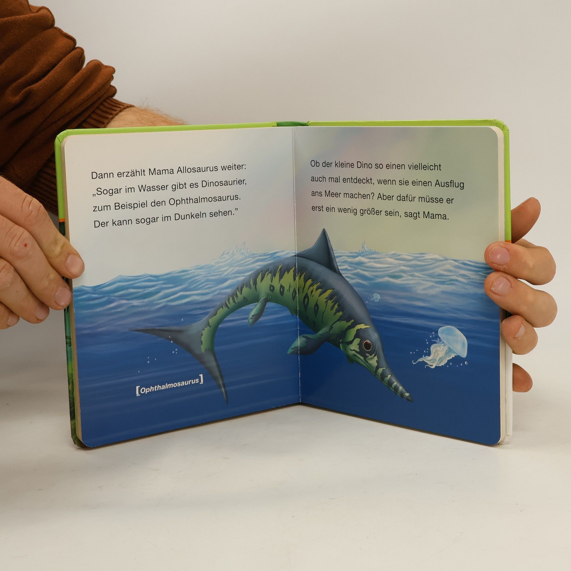 Autorenkollektiv Dinosaurier