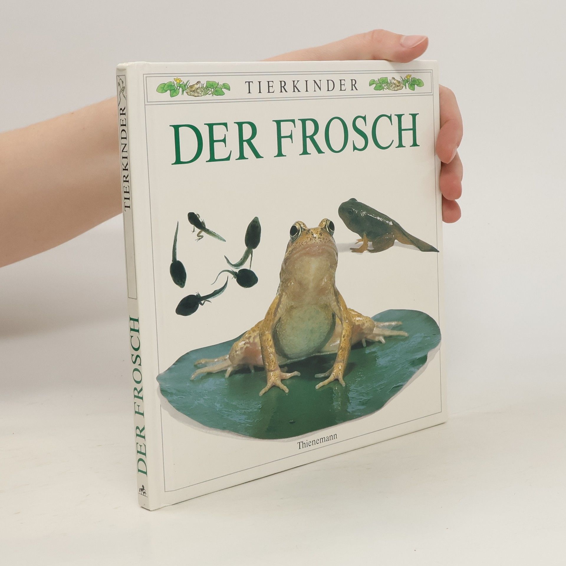 Kim Taylor Der Frosch