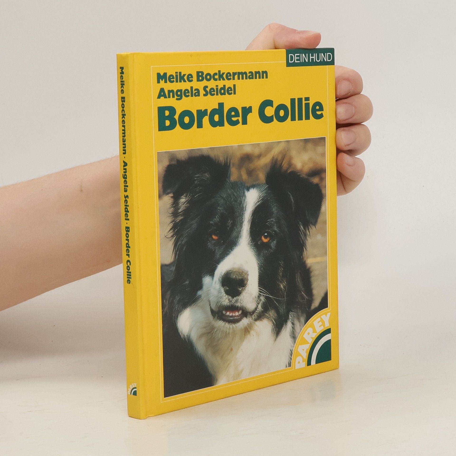 Meike Bockermann Border Collie