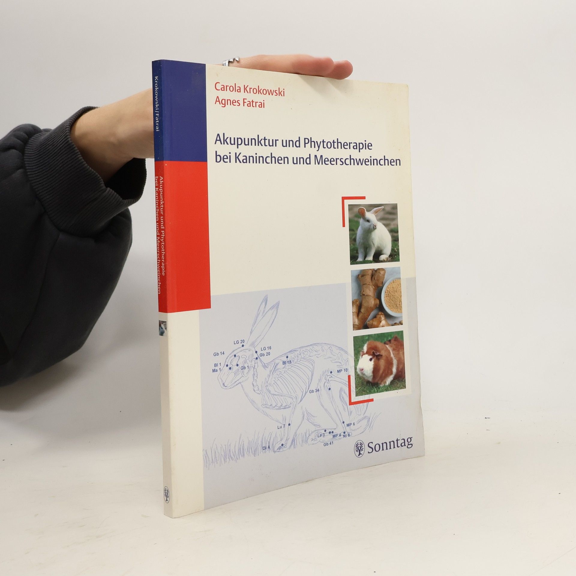 Carola Krokowski Akupunktur und Phytotherapie bei Kaninchen und Meerschweinchen