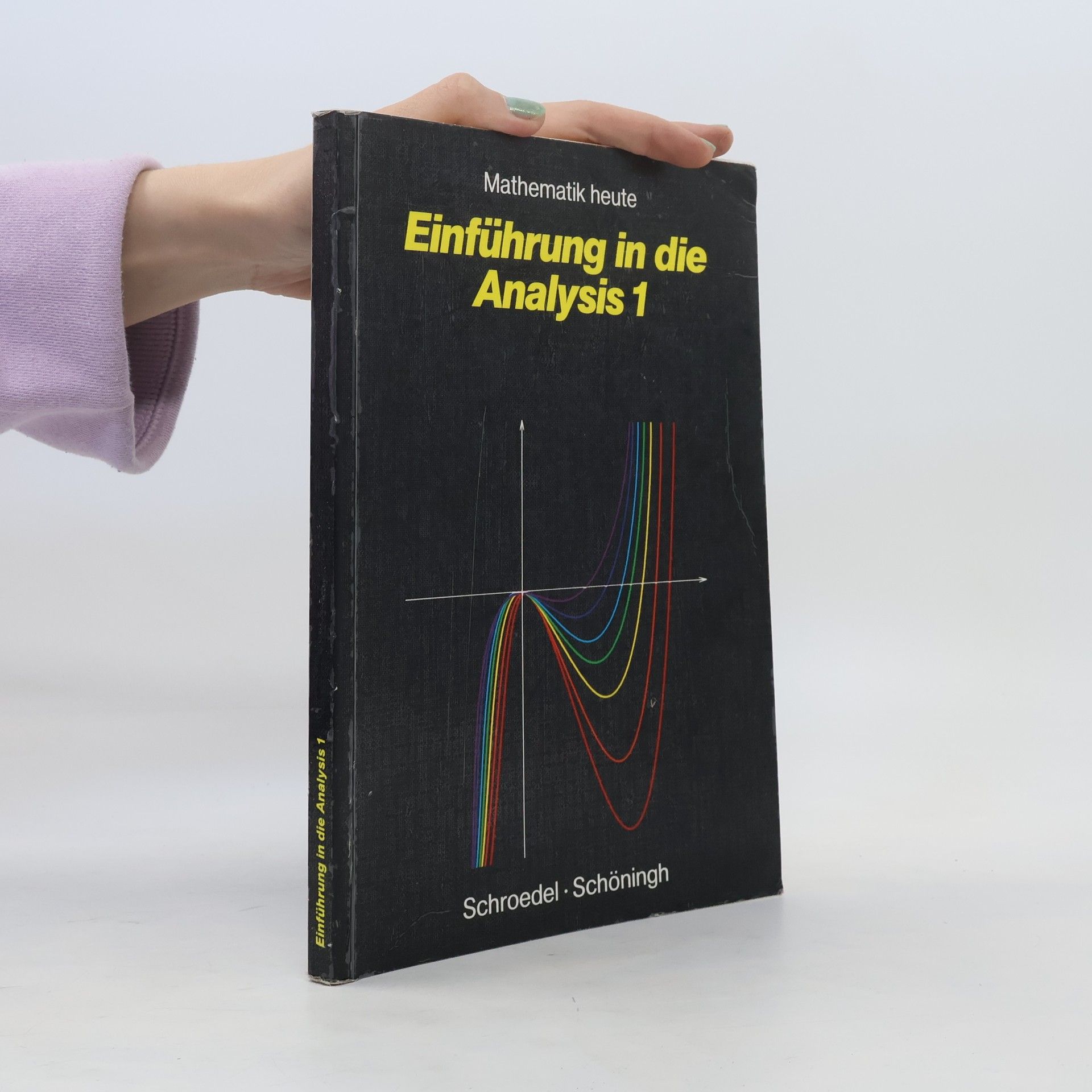 Heinz Griesel Einführung in die Analysis 1