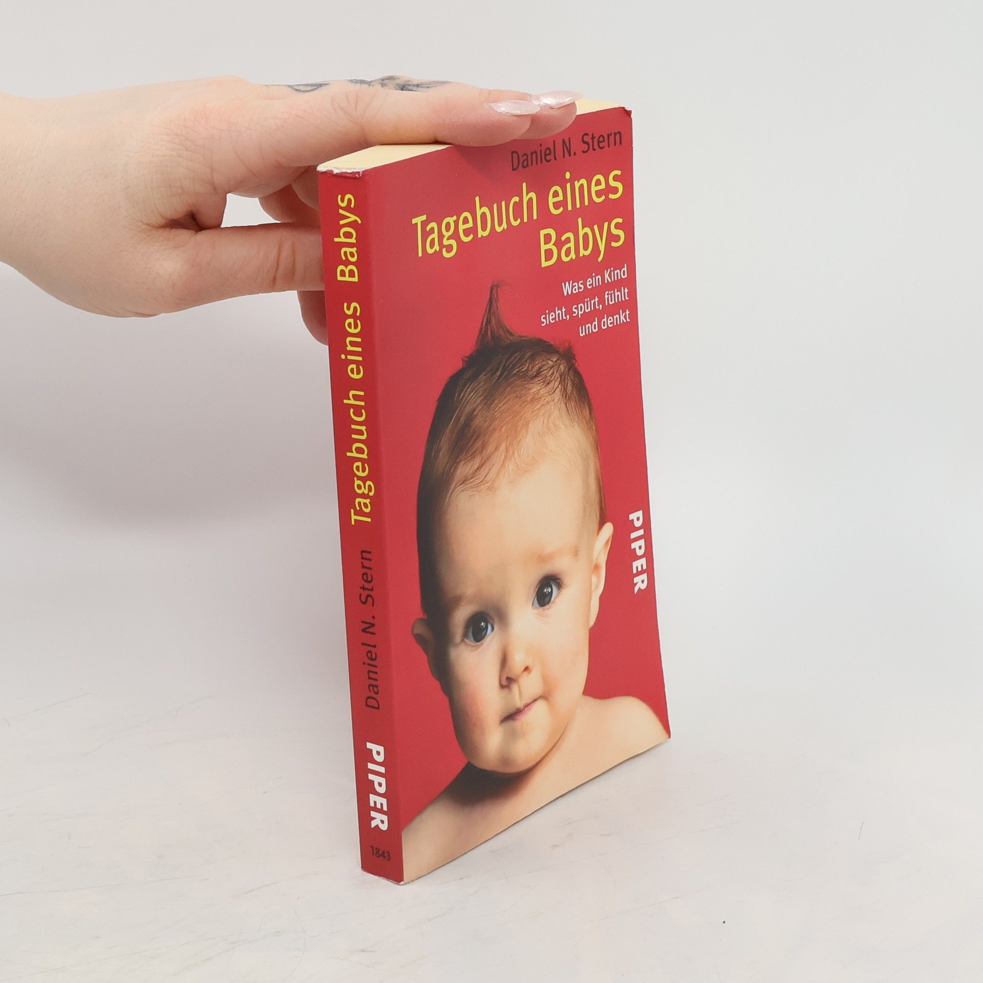 Daniel Stern Tagebuch eines Babys