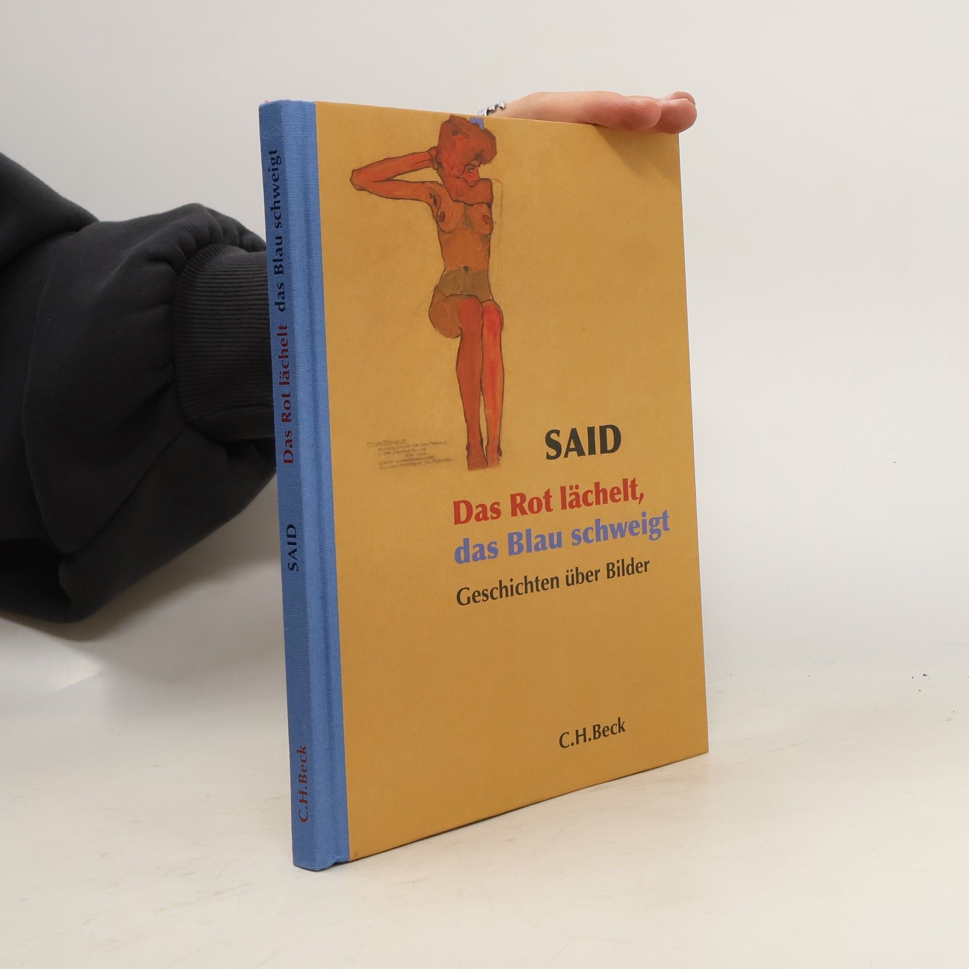 Said Mirhadi Das Rot lächelt, das Blau schweigt