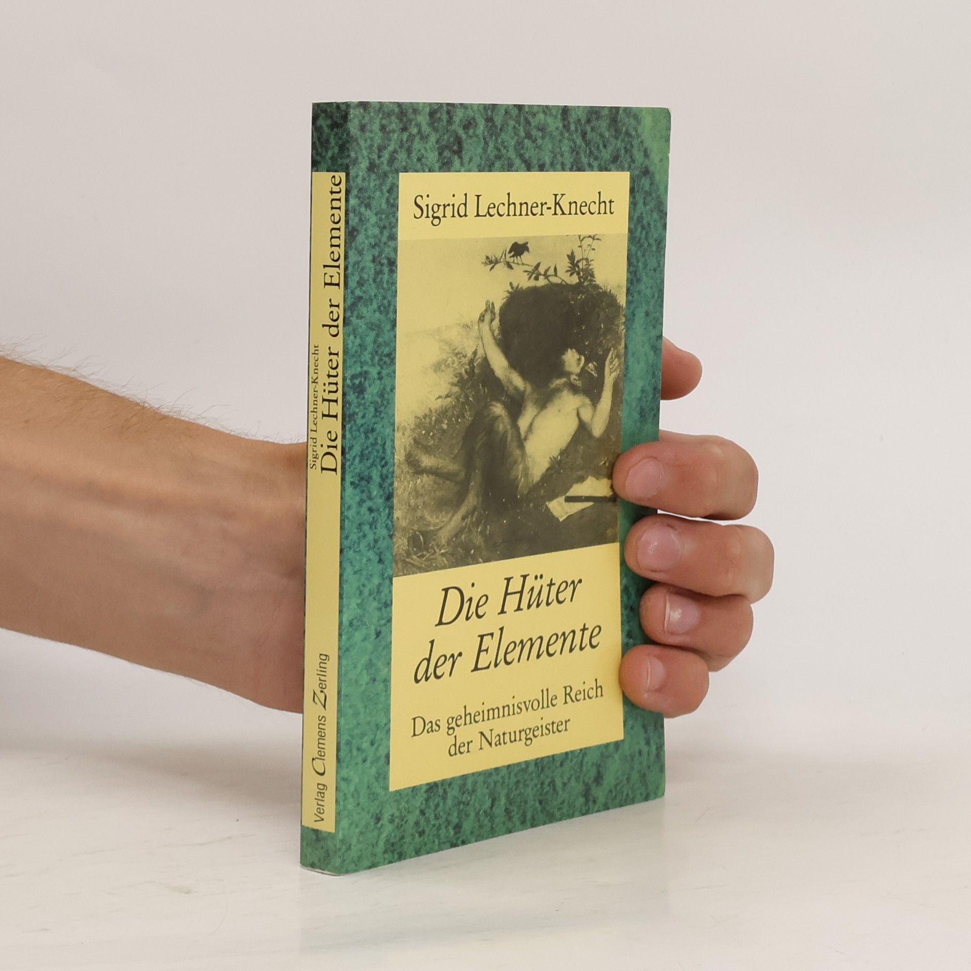 Sigrid Lechner Knecht Die Hüter der Elemente