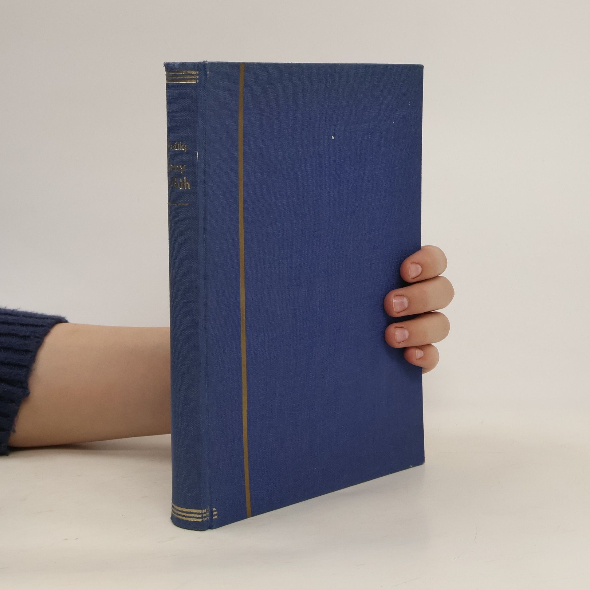 František Kožík Blázny živí Bůh