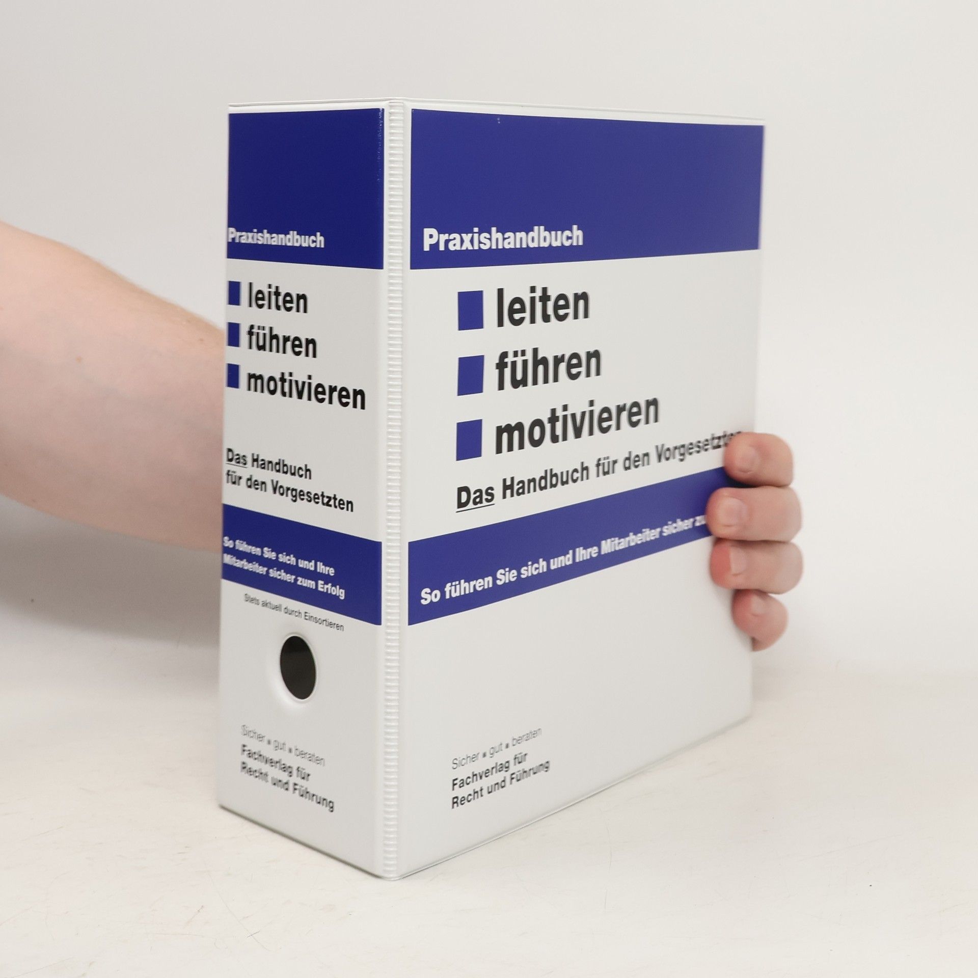 Collectif d'auteurs Praxishandbuch. Teiten, Führen, Motivieren