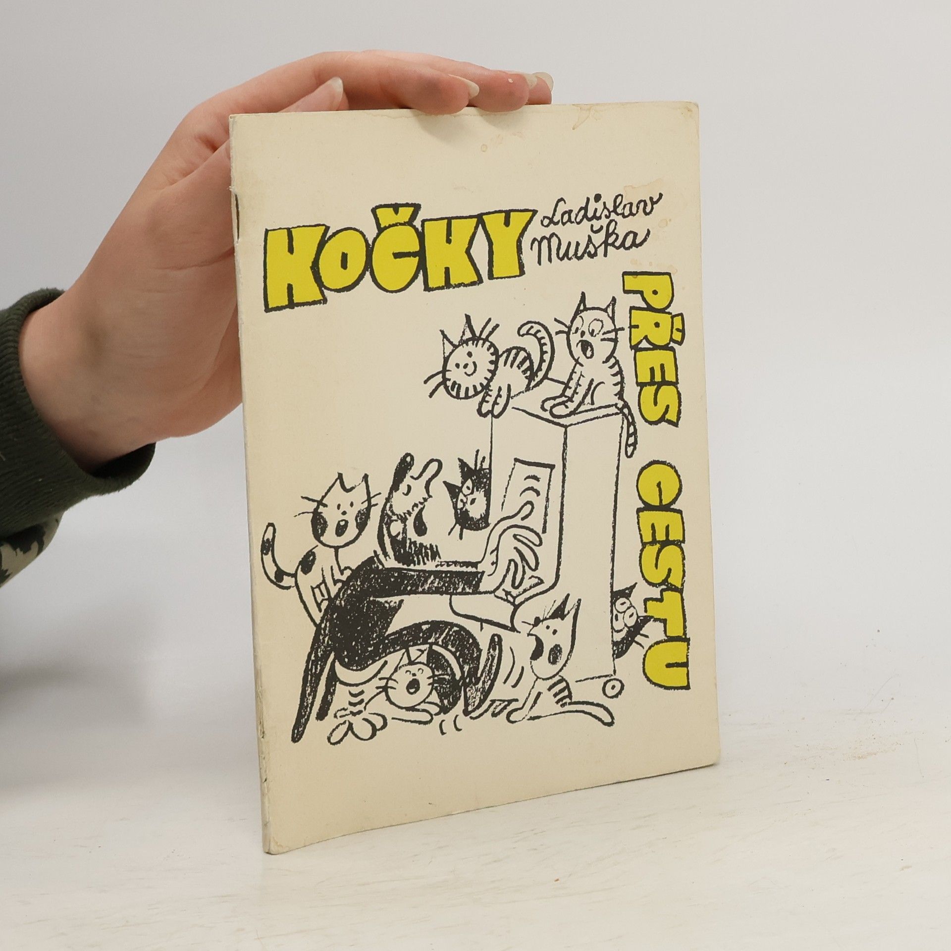 Ladislav Muška Kočky přes cestu