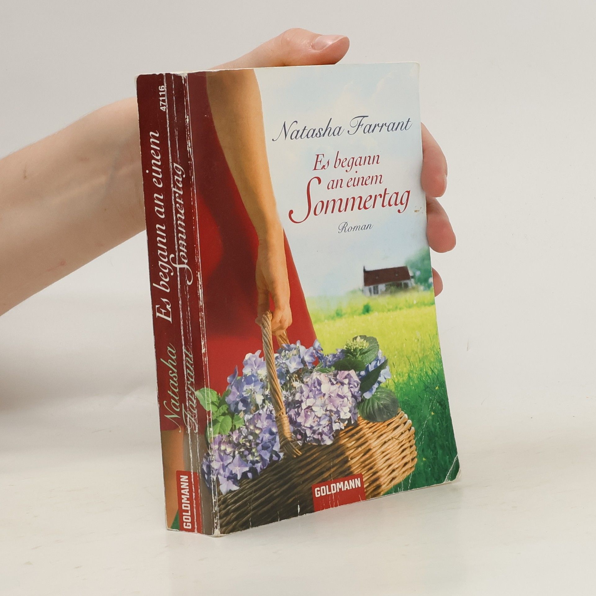 Natasha Farrant Es begann an einem Sommertag