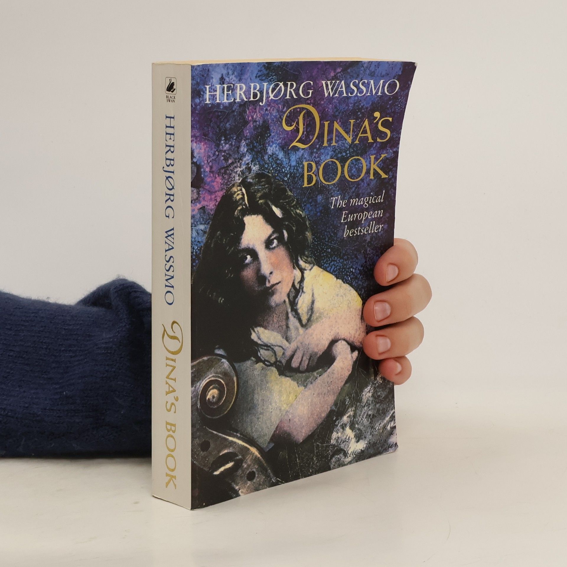 Herbjørg Wassmo Dina's Book