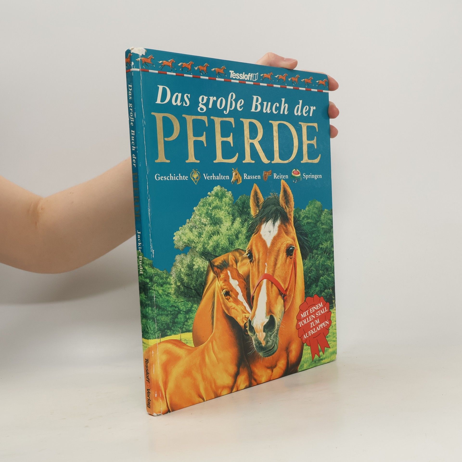 Jackie Budd Das große Buch der pferde
