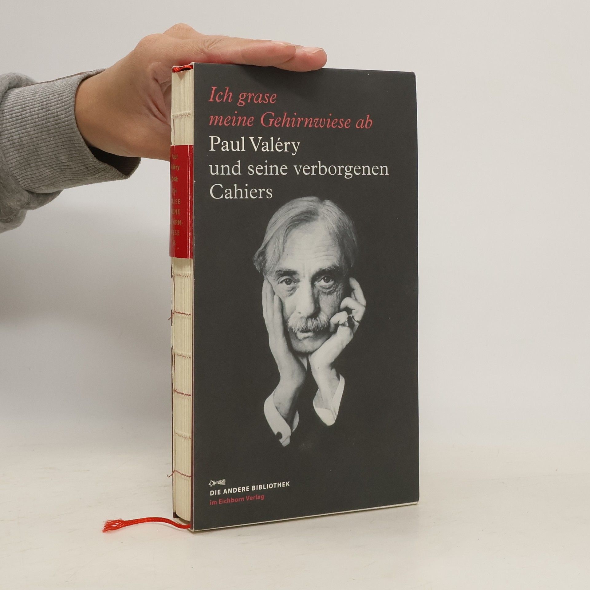 Paul Valéry Ich grase meine Gehirnwiese ab. Paul Valéry und seine verborgenen Cahiers