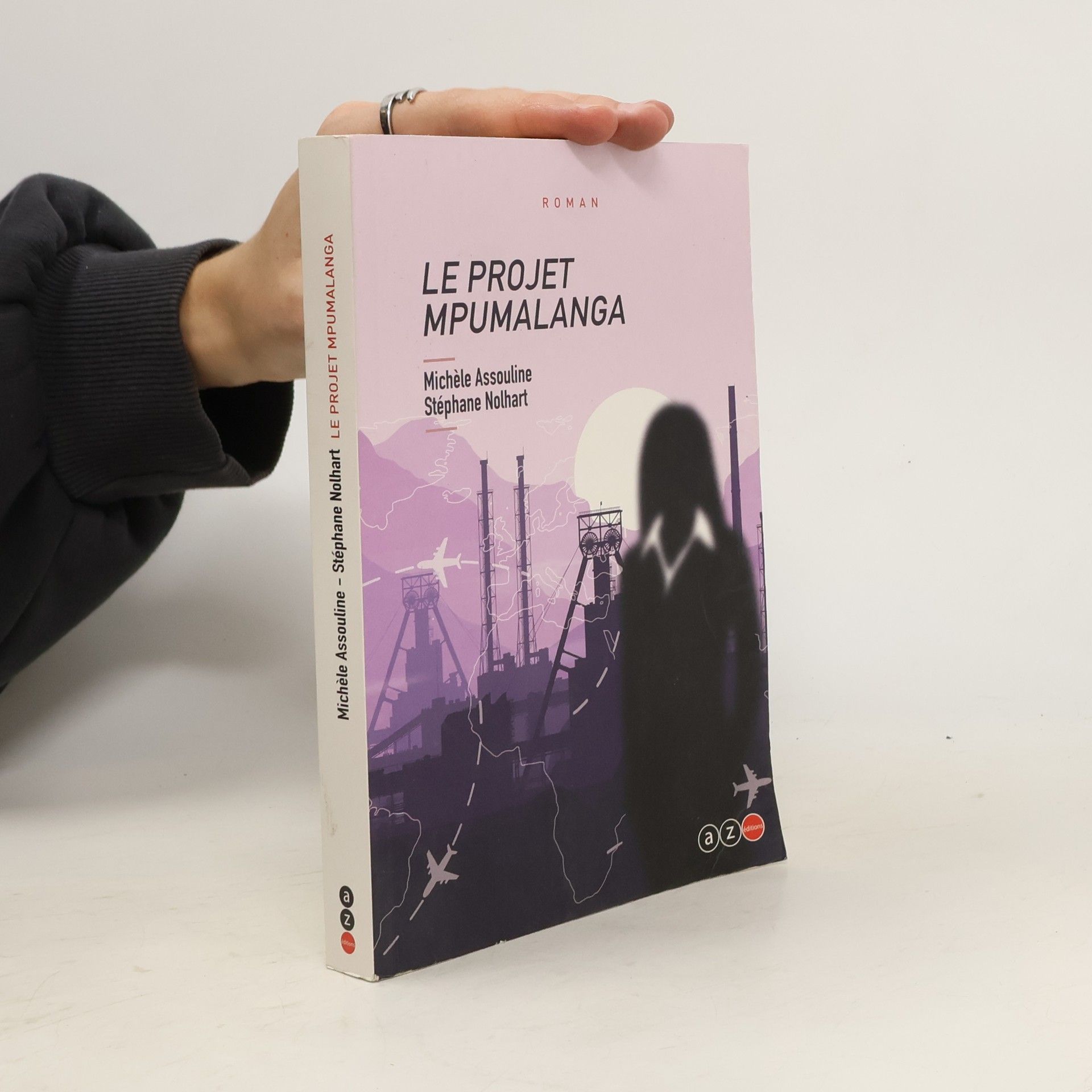 Stéphane Nolhart Le projet mpumalanga