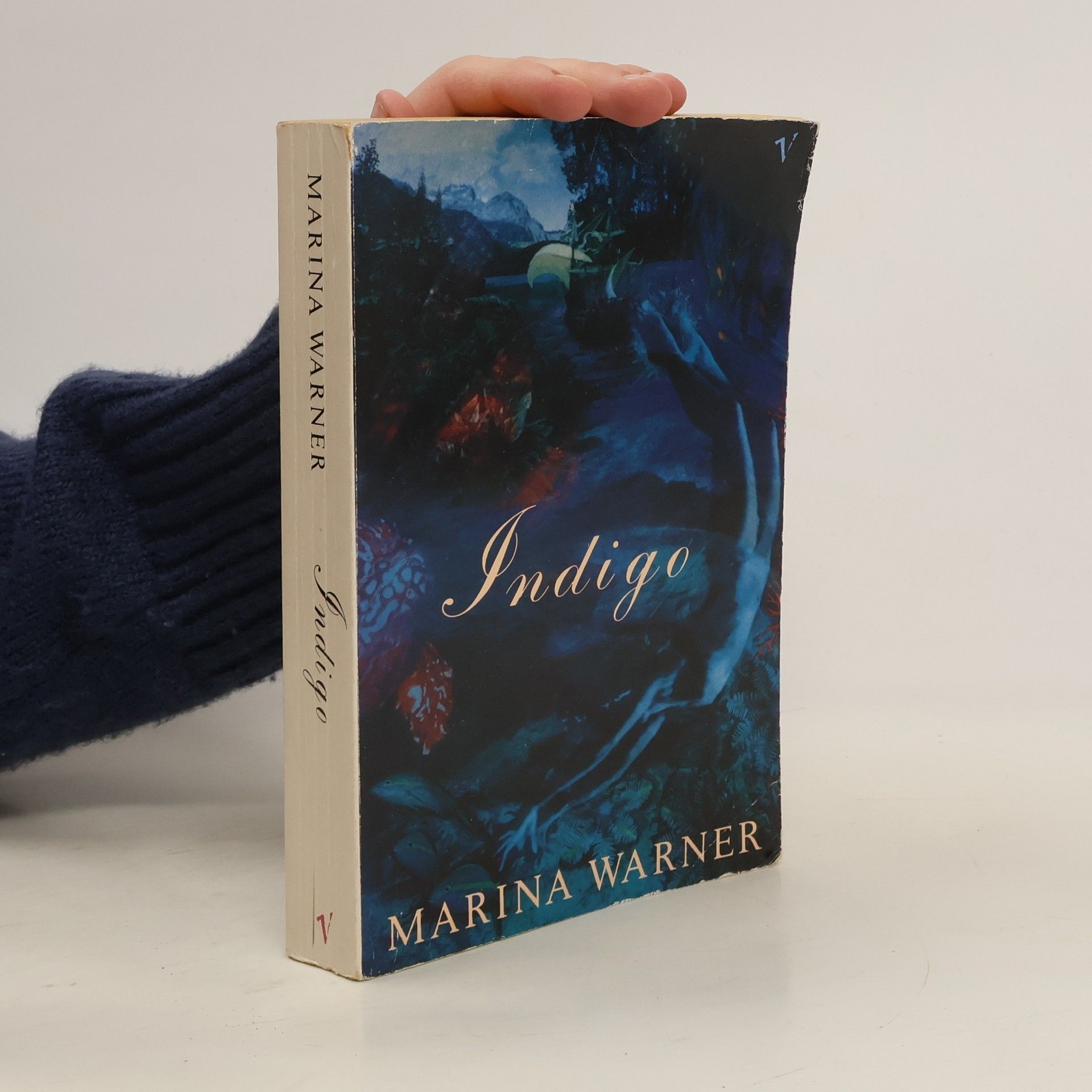 Marina Warner Indigo Or Mapping The Waters