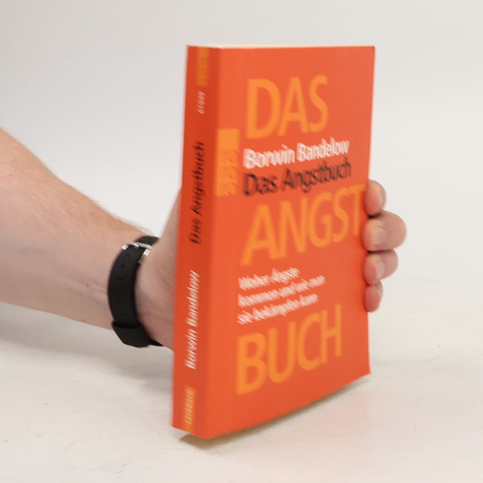 Borwin Bandelow Das Angstbuch