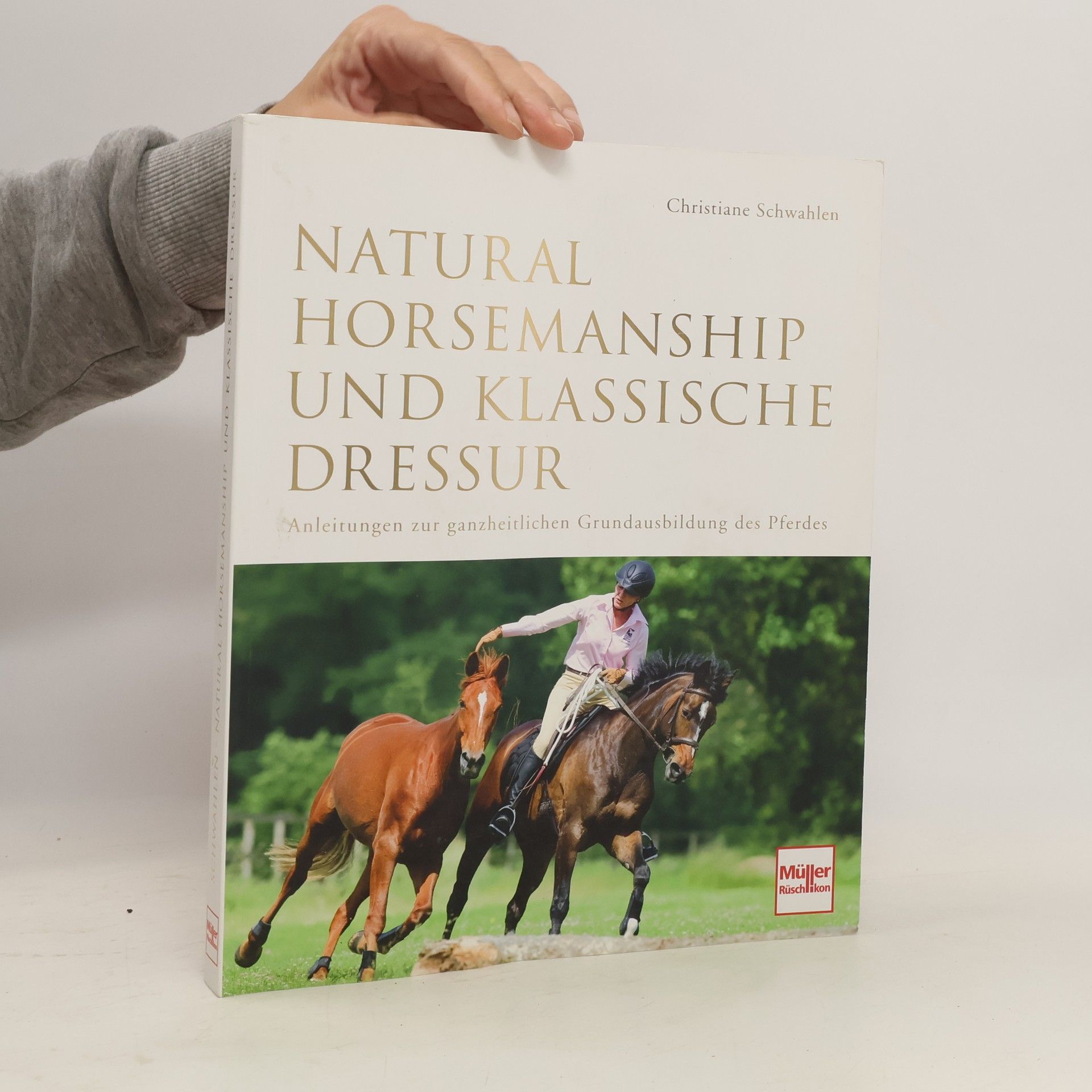 Christiane Schwahlen Natural Horsemanship und klassische Dressur