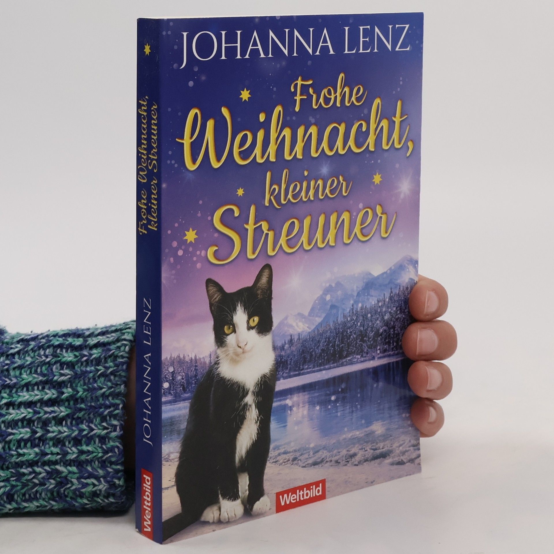 Frohe Weihnacht, kleiner Streuner