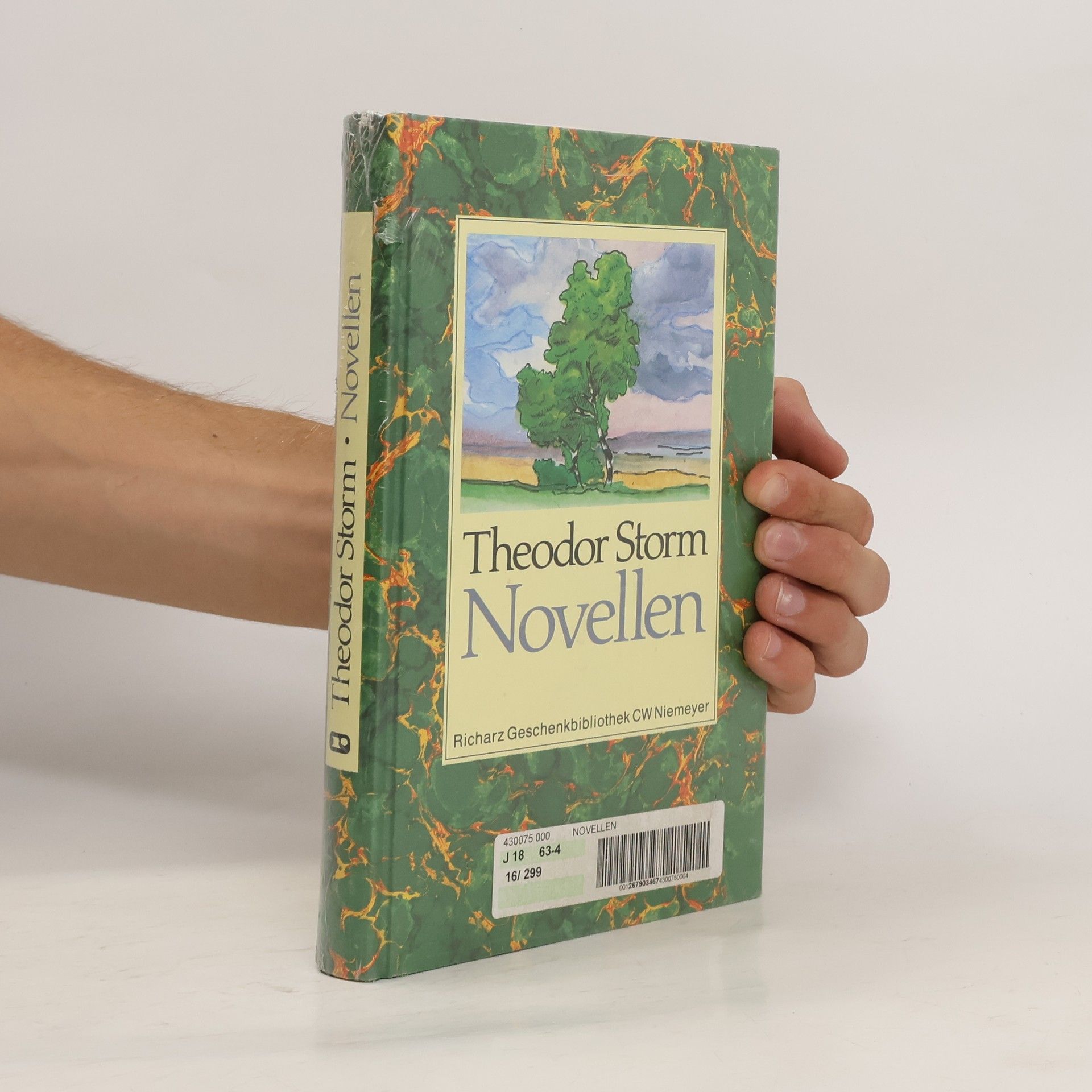 Theodor Storm Novellen,