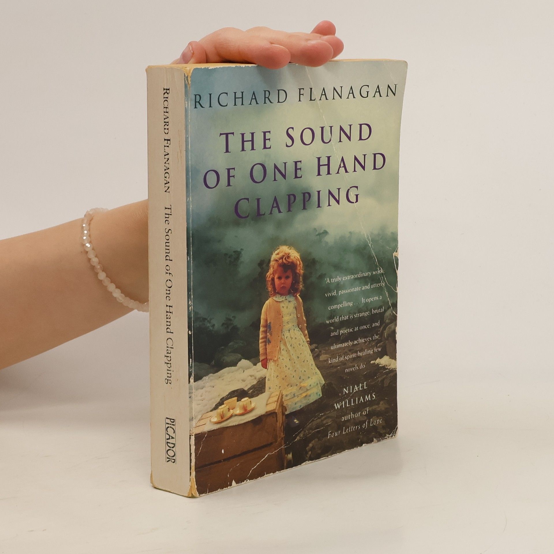 Richard Flanagan The Sound of One Hand Clapping