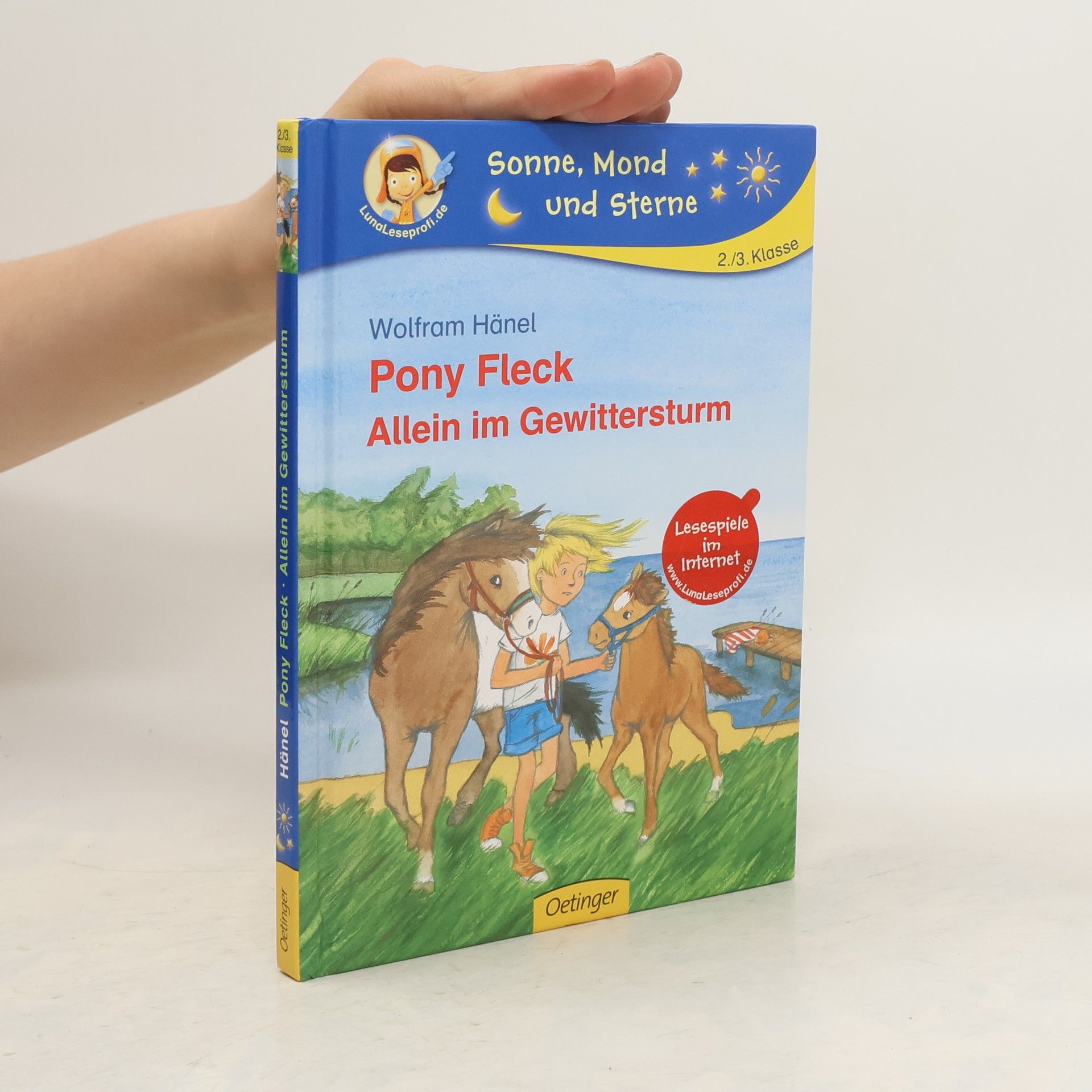 Wolfram Hänel Pony Fleck - allein im Gewittersturm