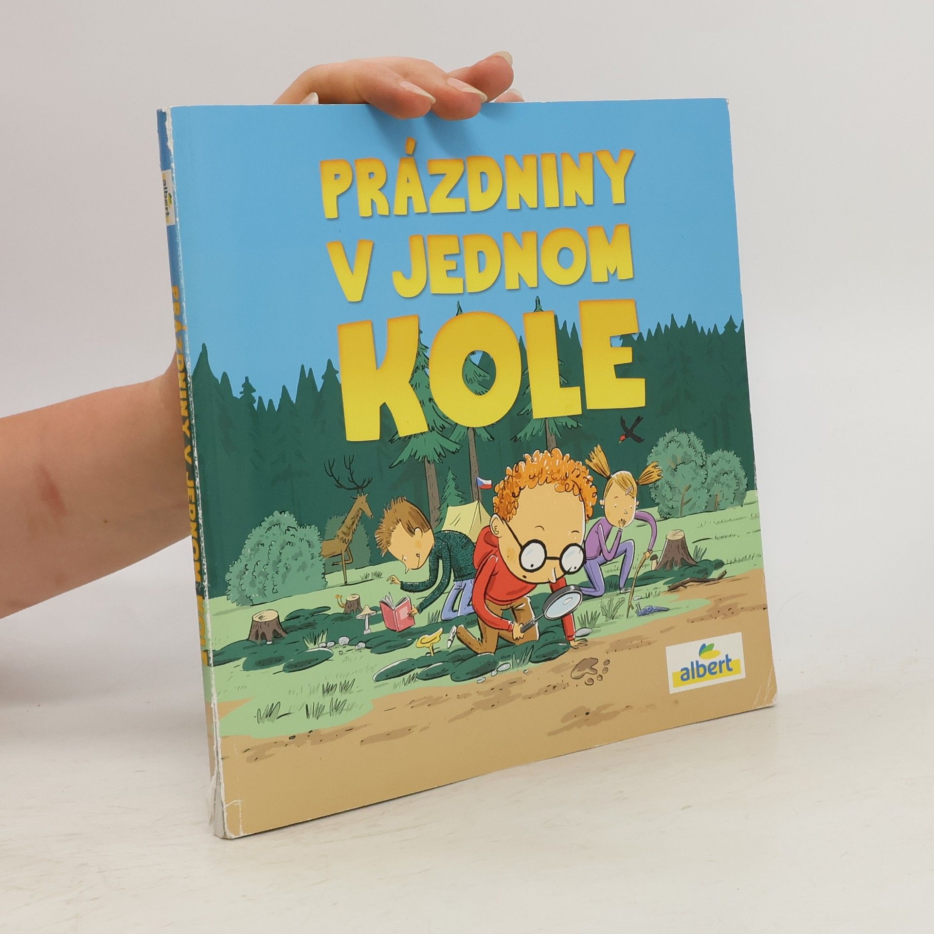 kolektiv Prázdniny v jednom kole