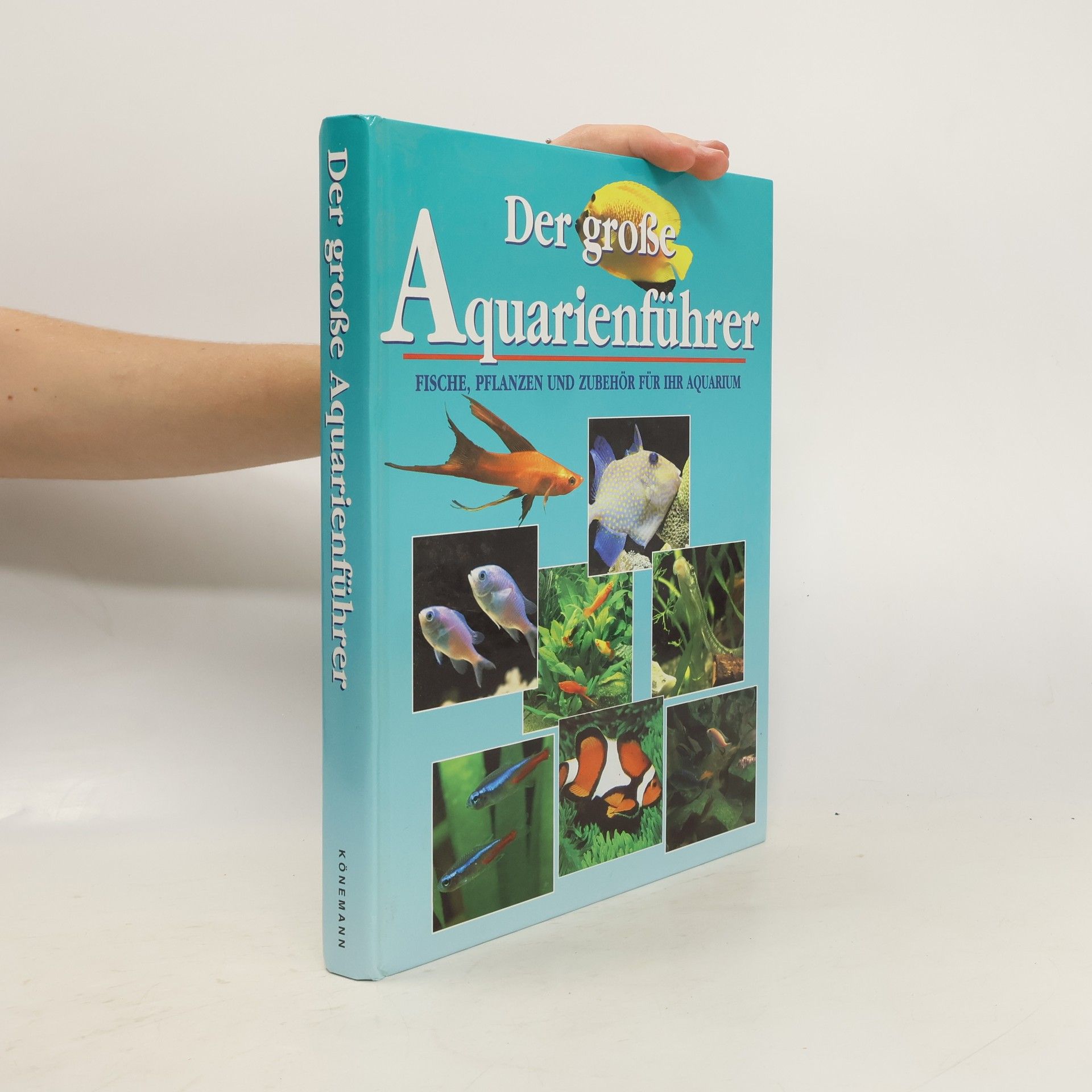 Collective Der große: Aquarienführer : Fische, Pflanzel und Zubehör für ihr aquarium