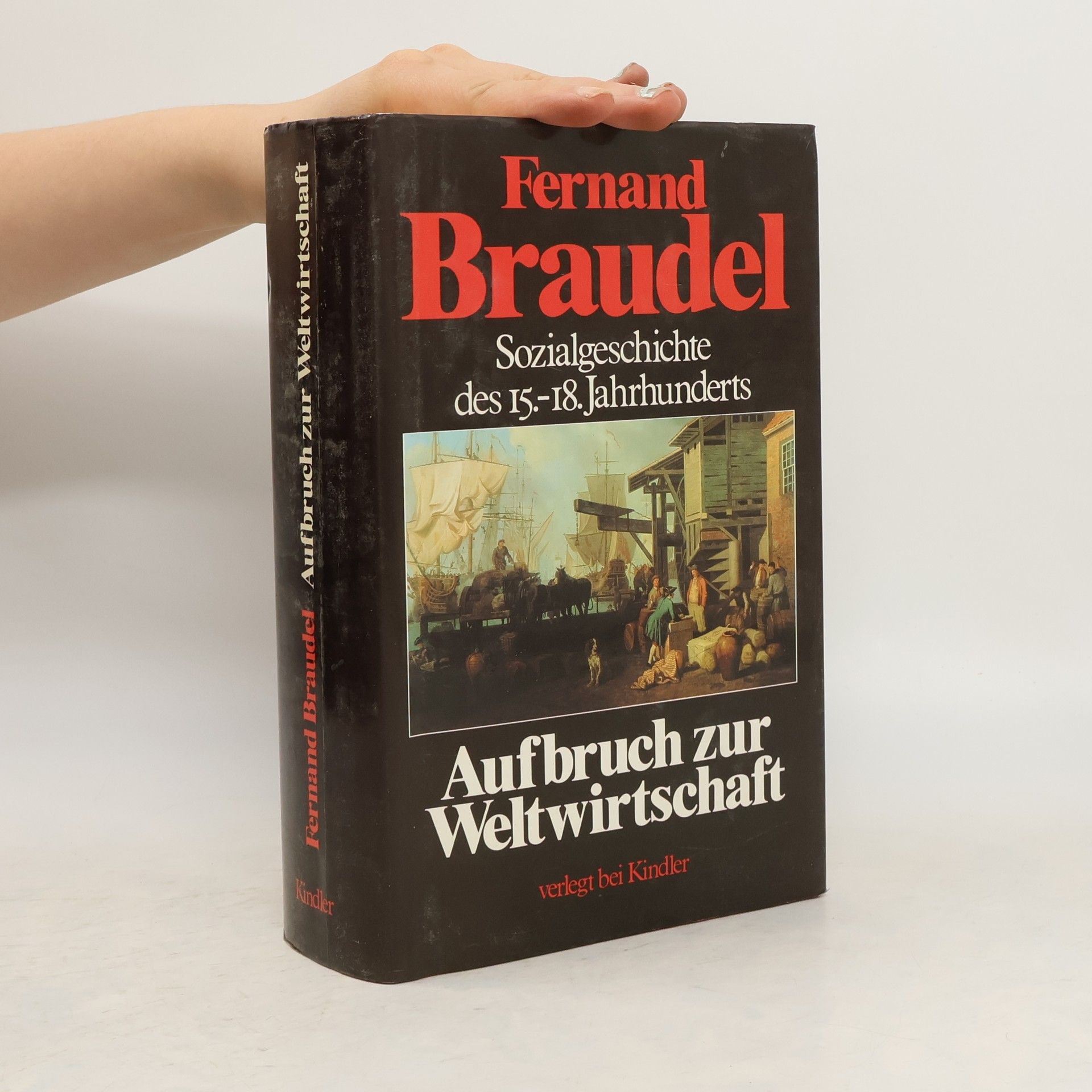 Fernand Braudel Sozialgeschichte des 15.-18. Jahrhunderts: Aufbruch zur Weltwirstchaft