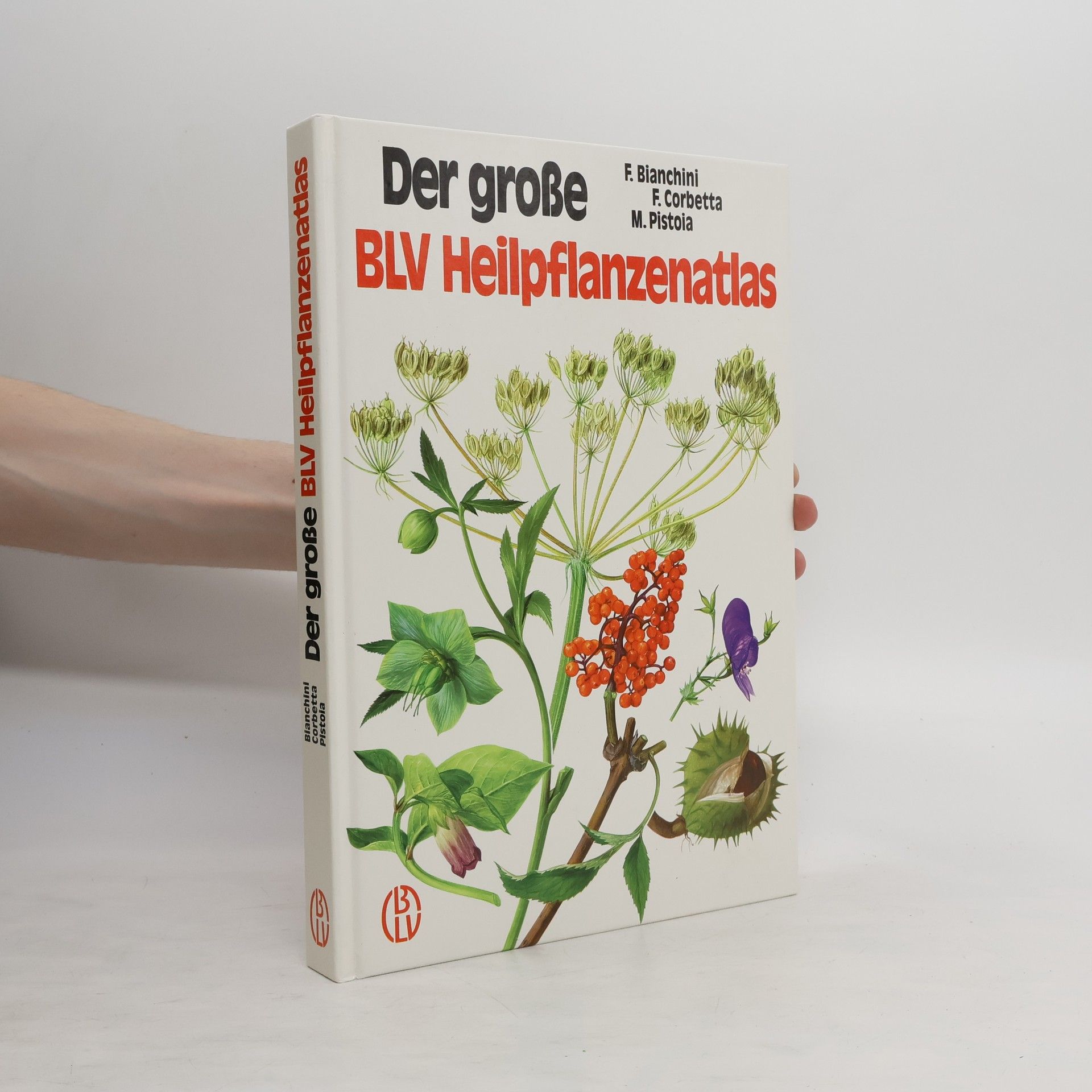 Francesco Bianchini Der grosse BLV-Heilpflanzenatlas