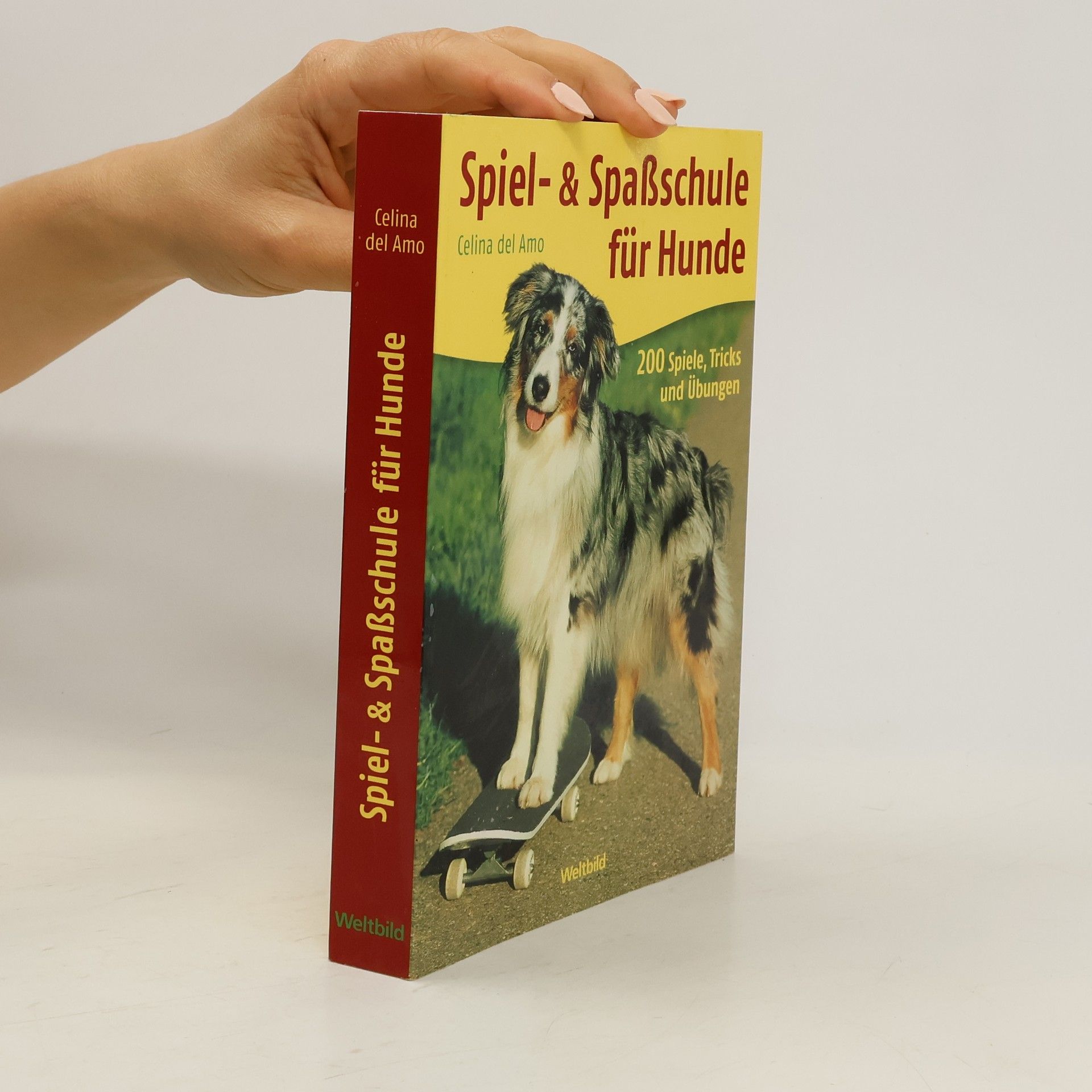 Celina Del Amo Spiel- & Spaßschule für Hunde