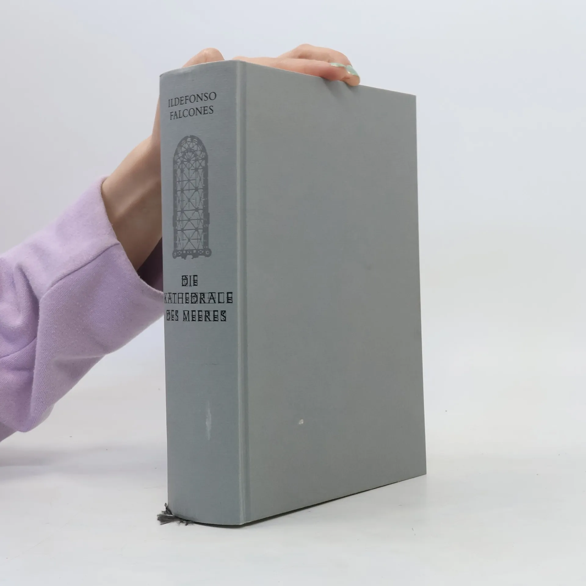 Die Kathedrale des Meeres | Libro | Ildefonso Falcones | DE