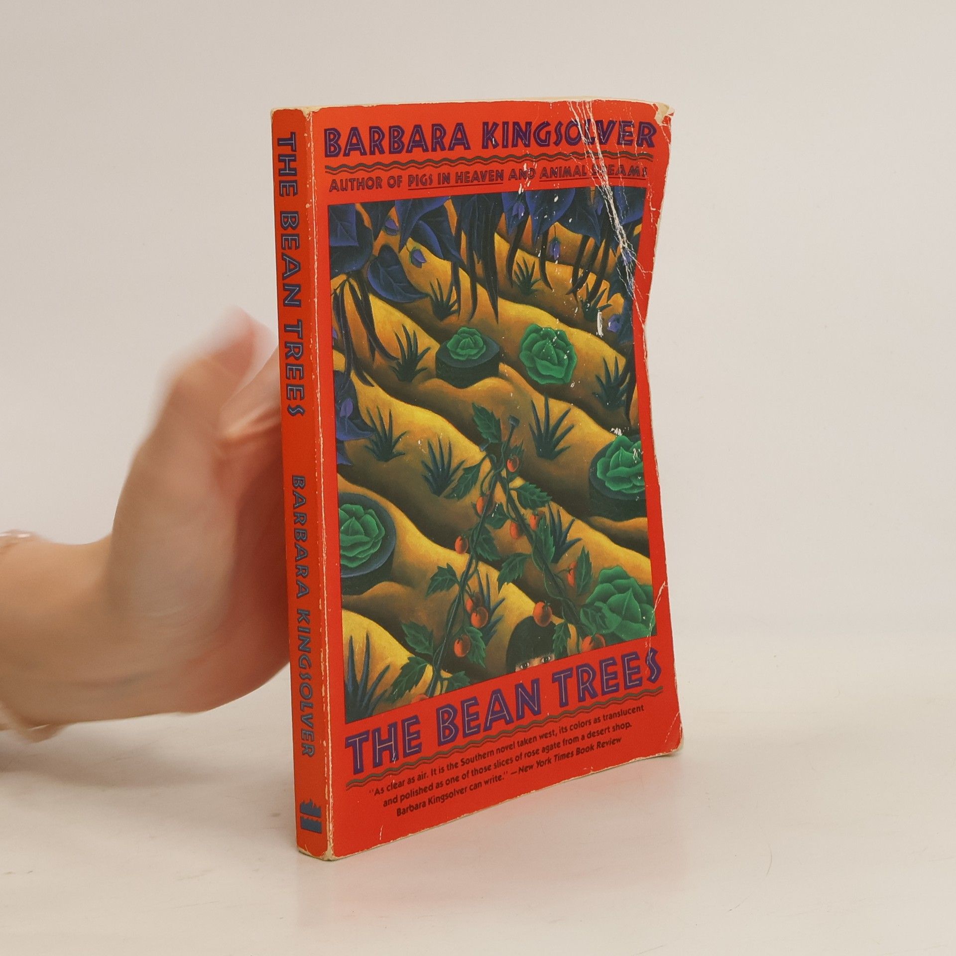 Barbara Kingsolver The Bean Trees