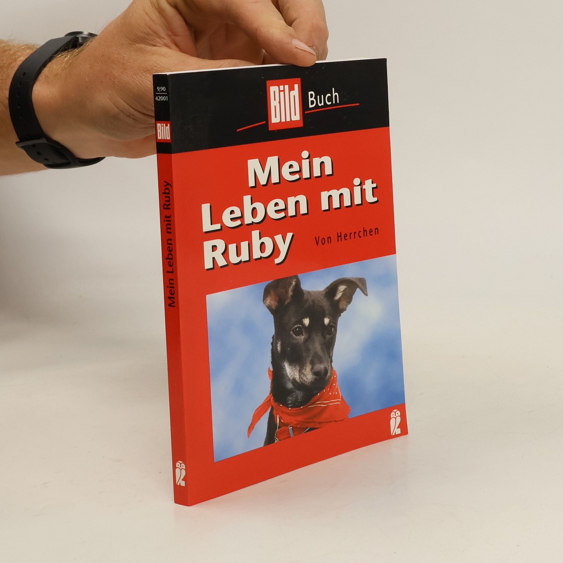 Norbert Körzdörfer Mein Leben mit Ruby