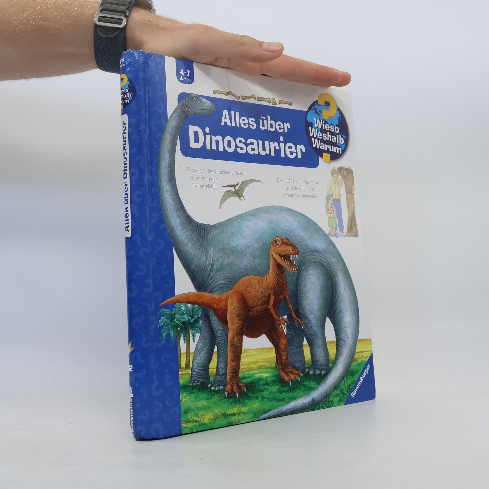 Autorenkollektiv Alles über Dinosaurier