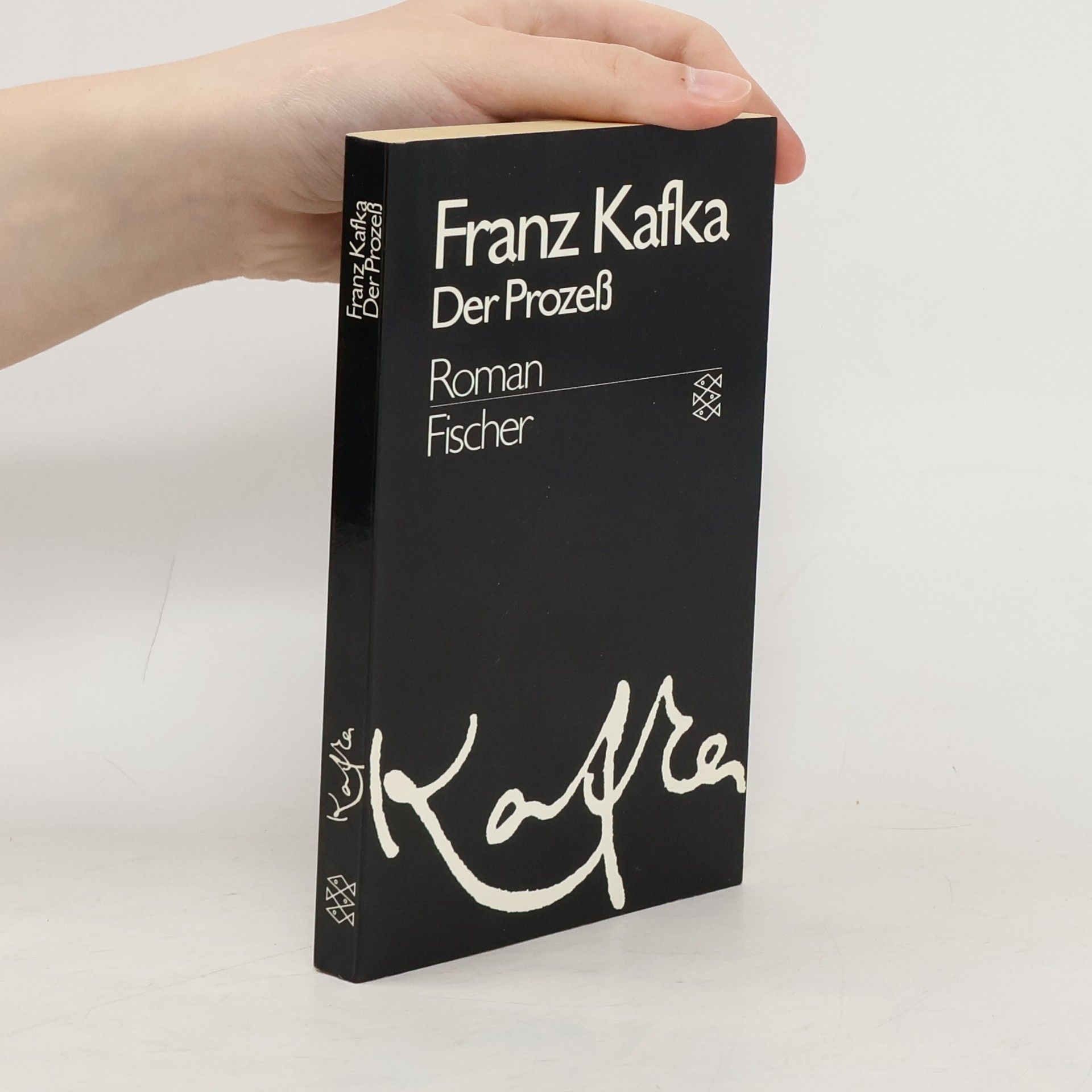 Franz Kafka Briefe 1902 - 1924