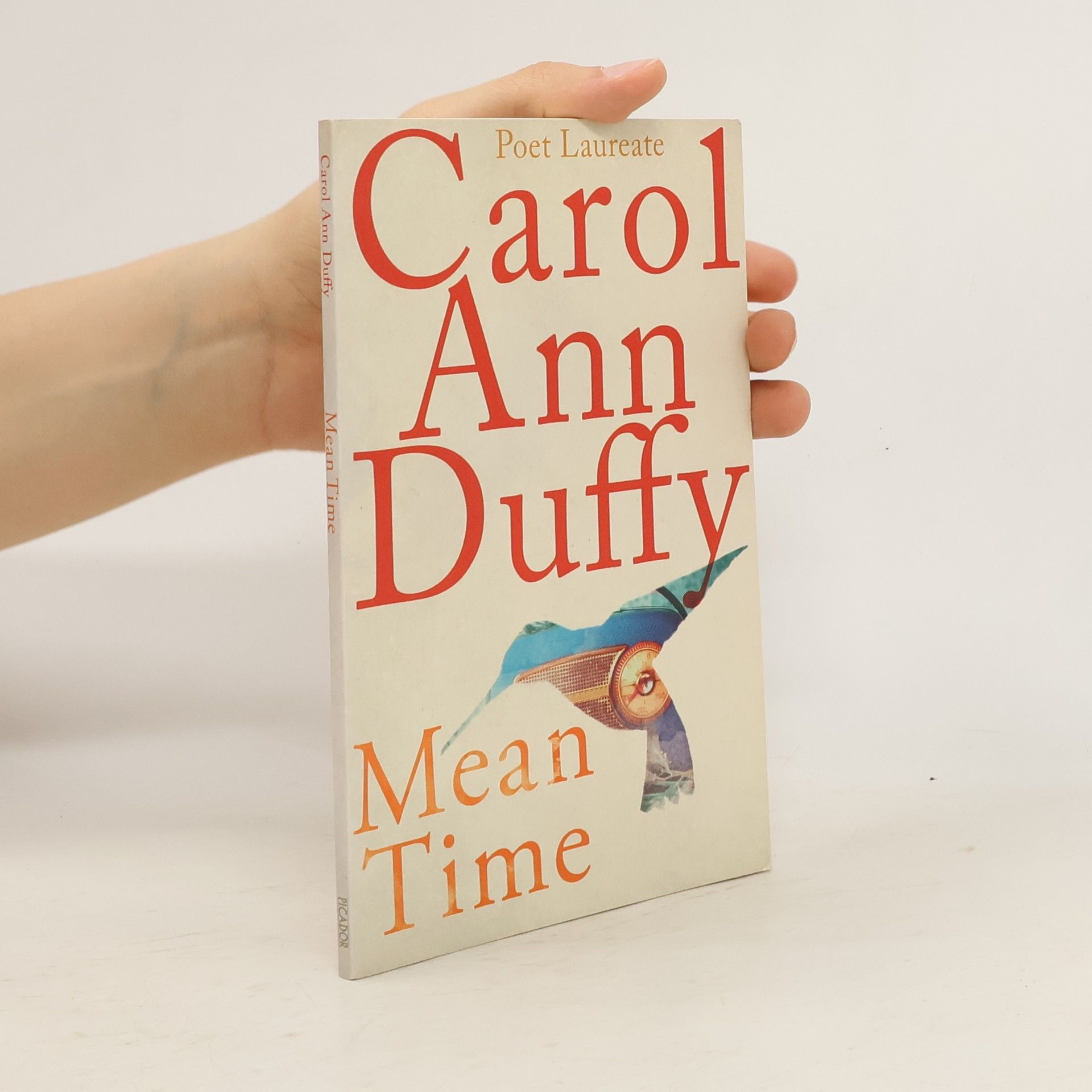 Carol Ann Duffy Mean Time