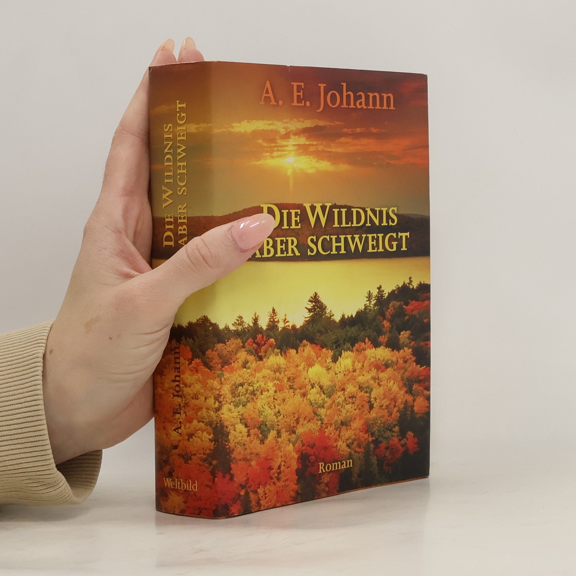 Alfred E. Johann Die Wildnis aber schweigt