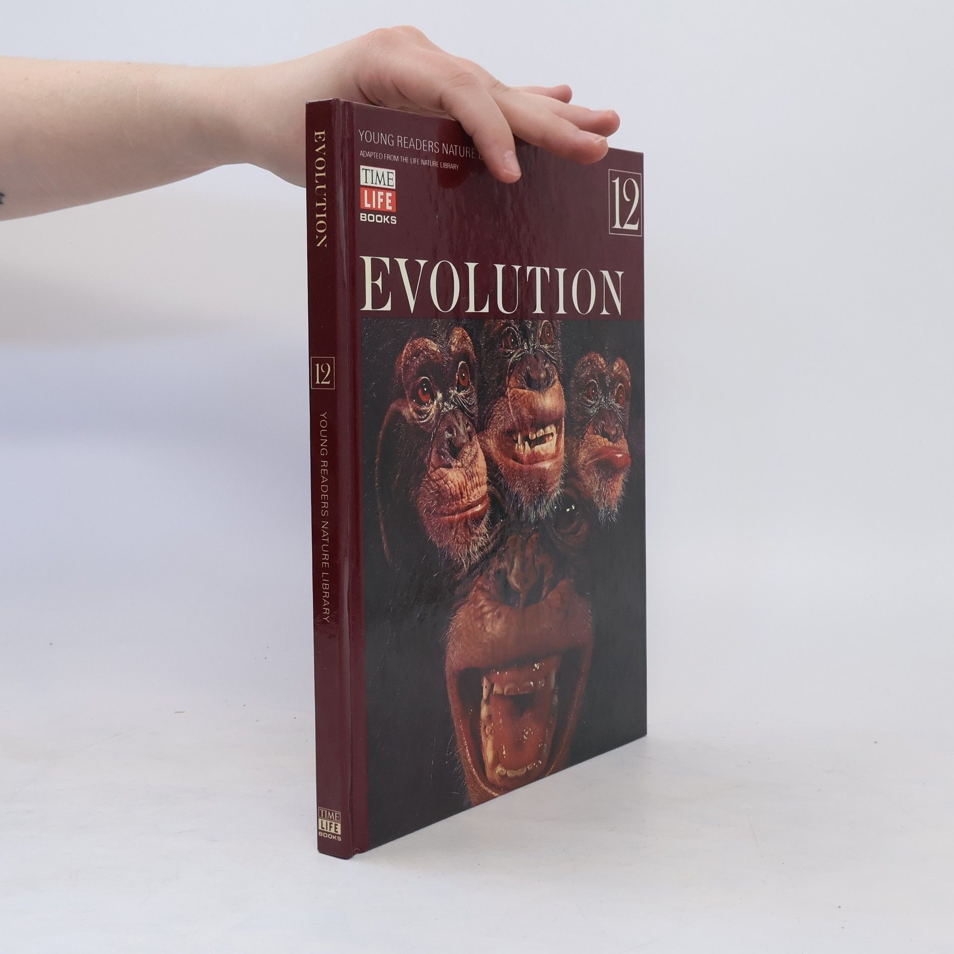 kolektiv Evolution