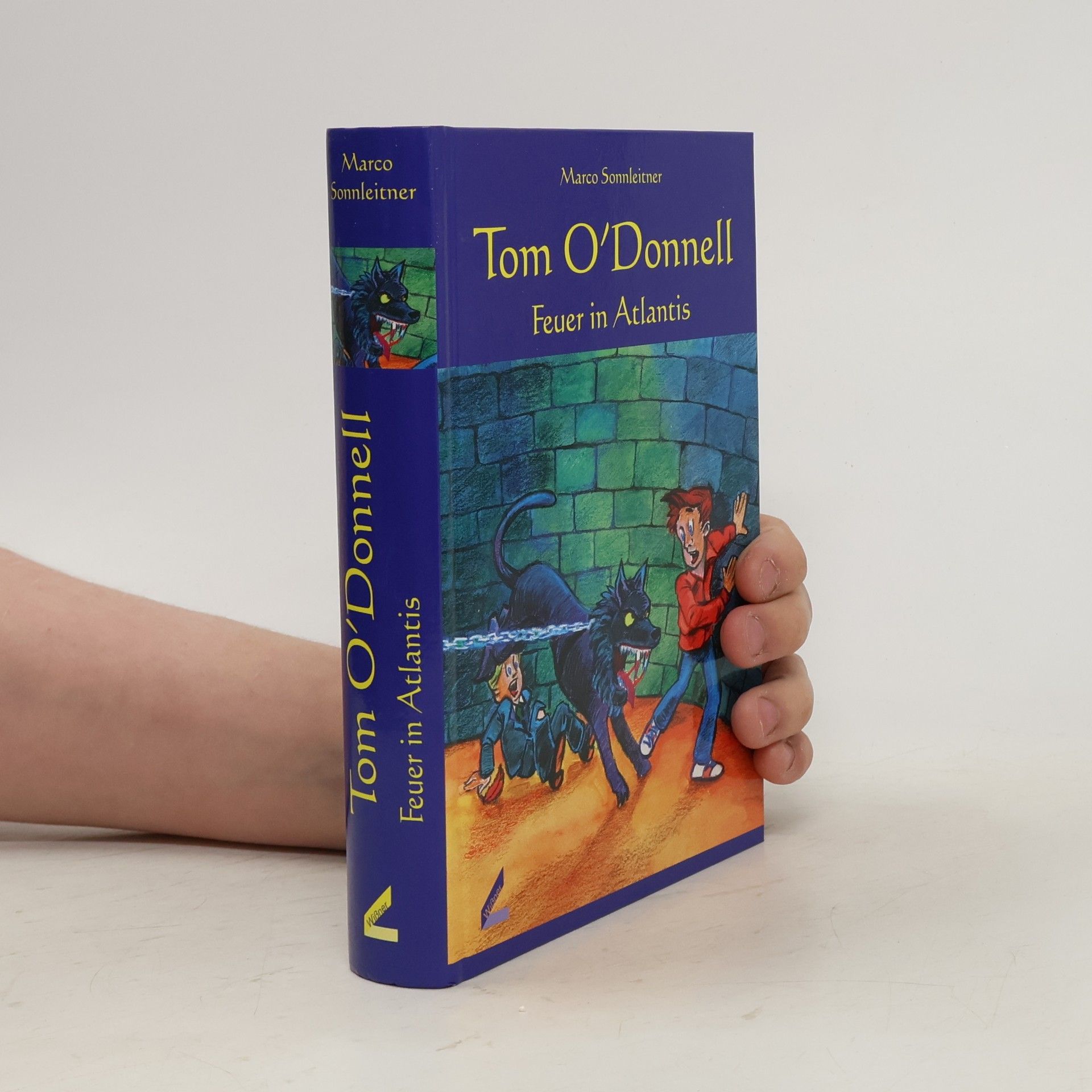 Marco Sonnleitner Tom O'Donnell - Feuer in Atlantis