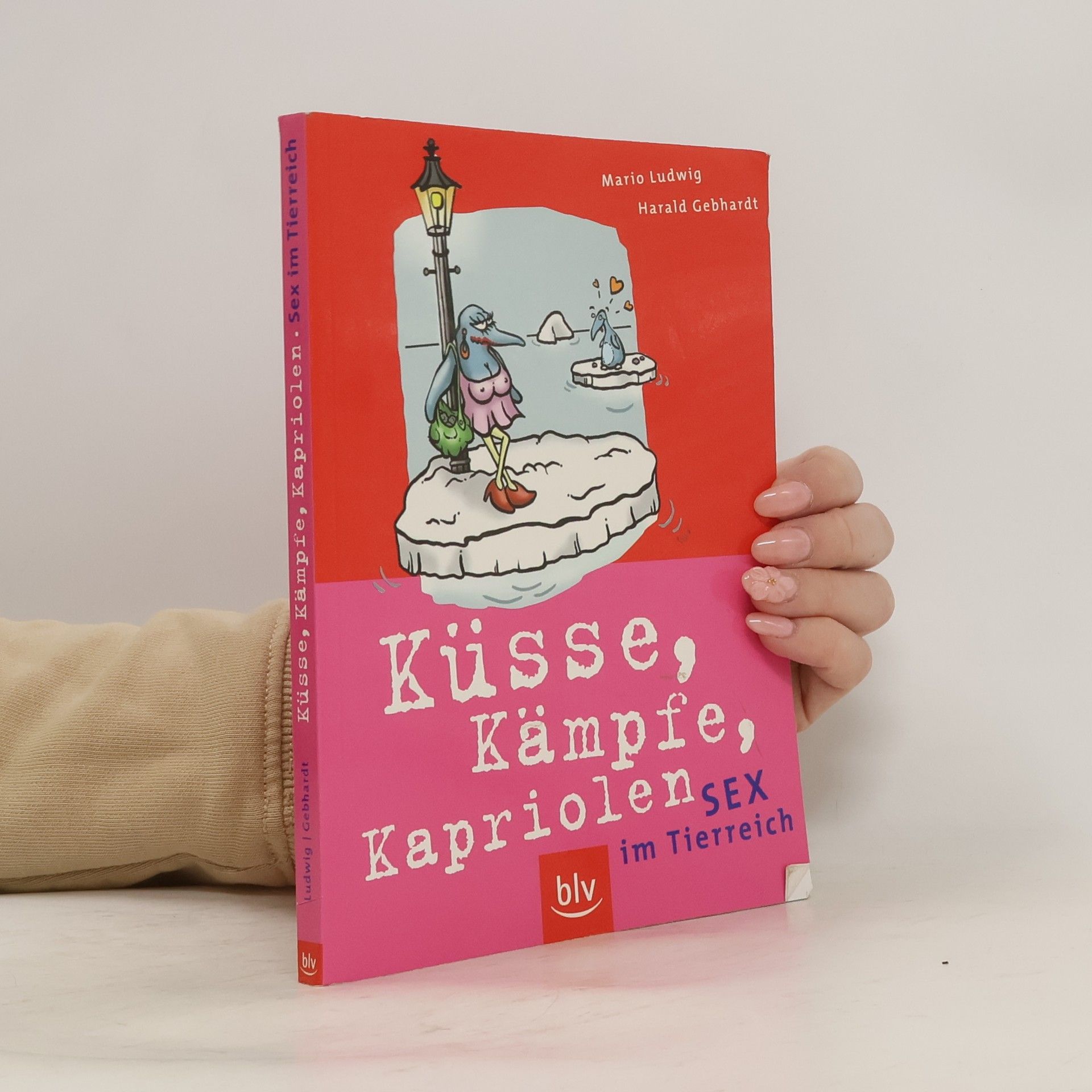 Mario Ludwig Küsse, Kämpfe, Kapriolen