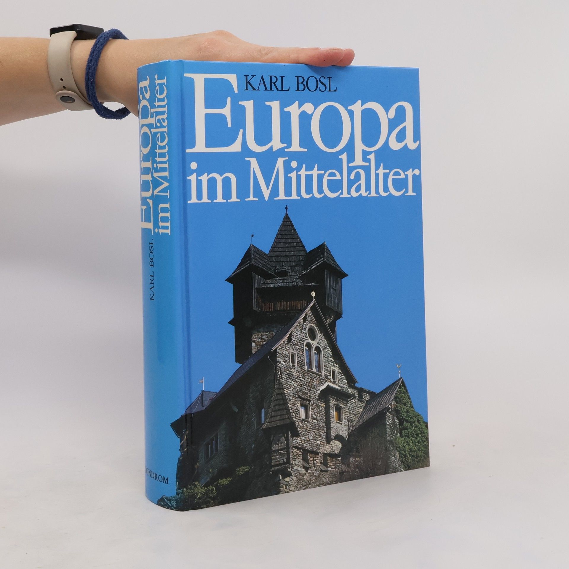 Karl Bosl Europa im Mittelalter