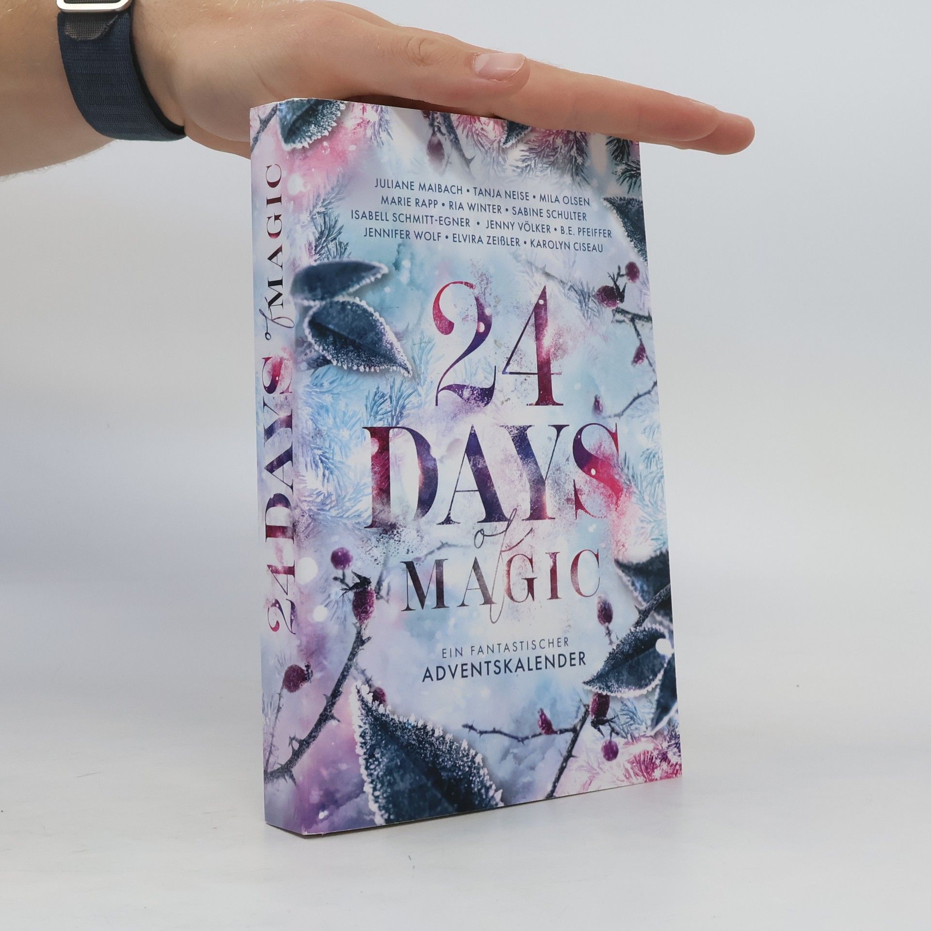 Karolyn Ciseau 24 Days of Magic. Ein fantastischer Adventskalender