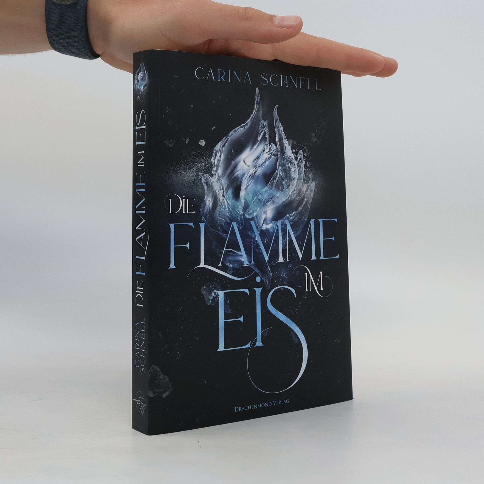 Carina Schnell Die Flamme im Eis