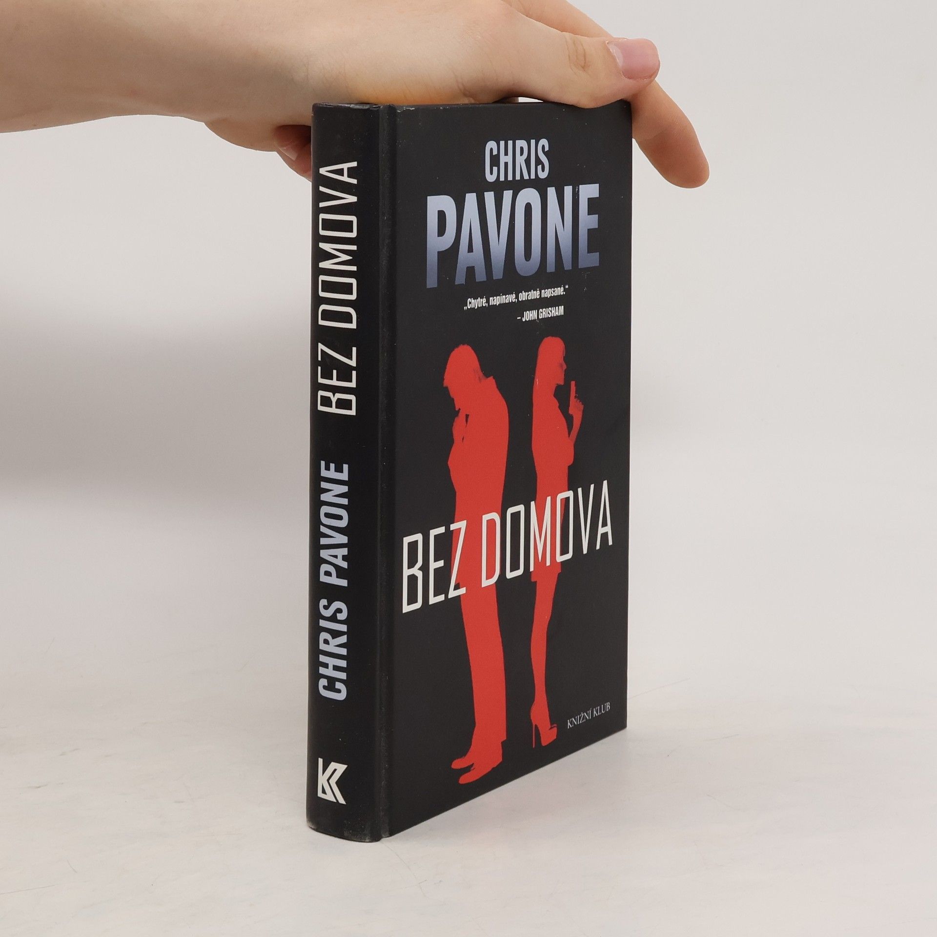 Chris Pavone Bez domova