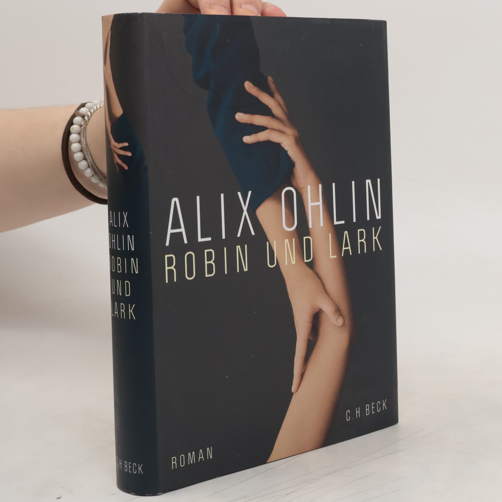 Alix Ohlin Robin und Lark