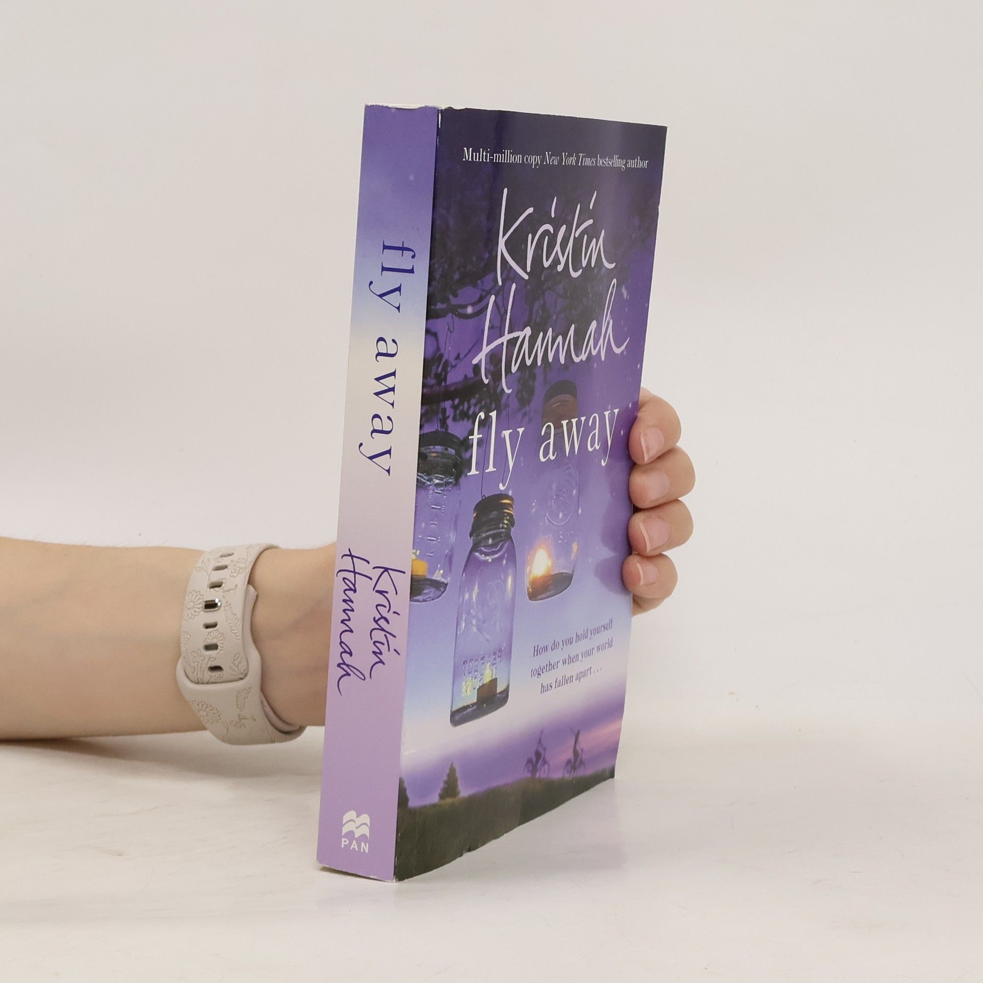 Kristin Hannah Fly Away