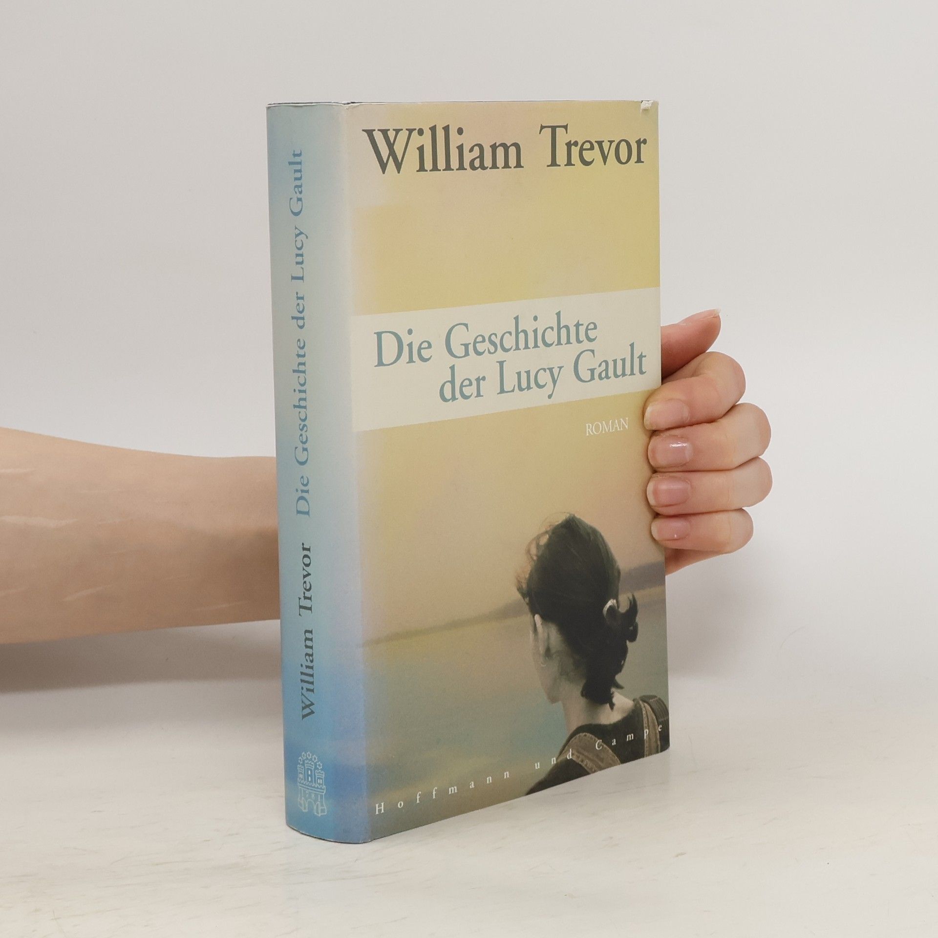 William Trevor Die Geschichte der Lucy Gault