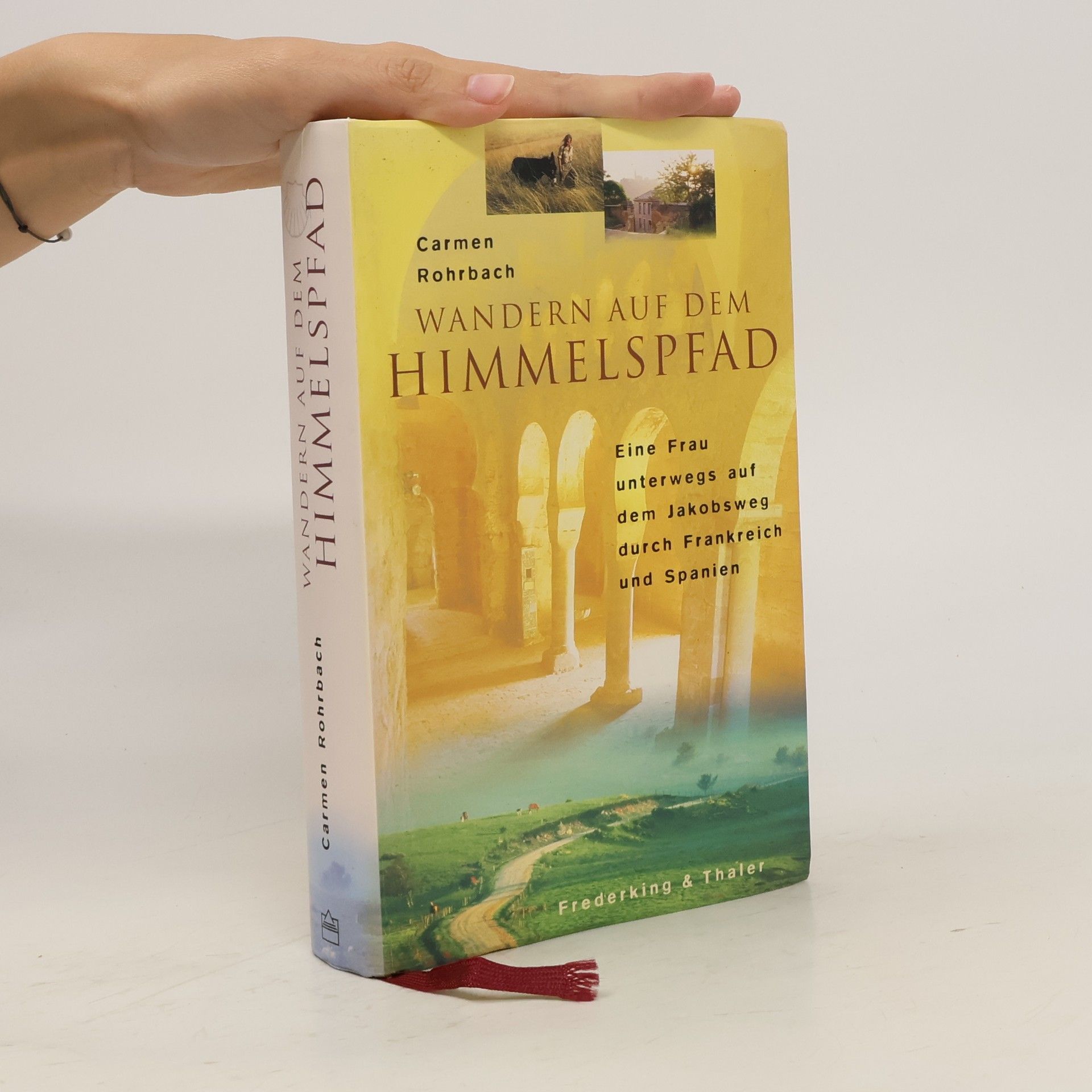 Carmen Rohrbach Wandern auf dem Himmelspfad