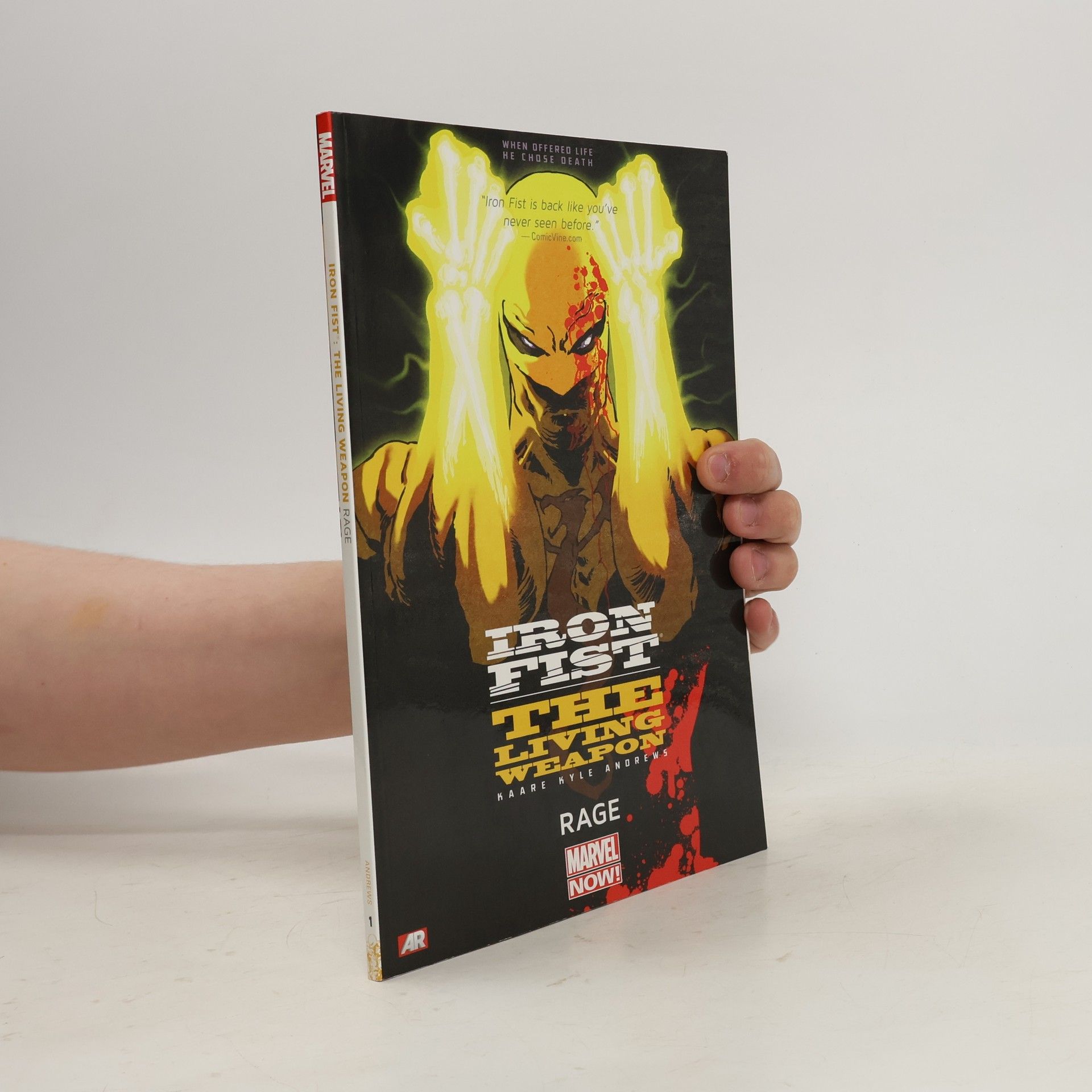 Jindřiška Ptáčková Iron Fist: The Living Weapon Volume 1: Rage