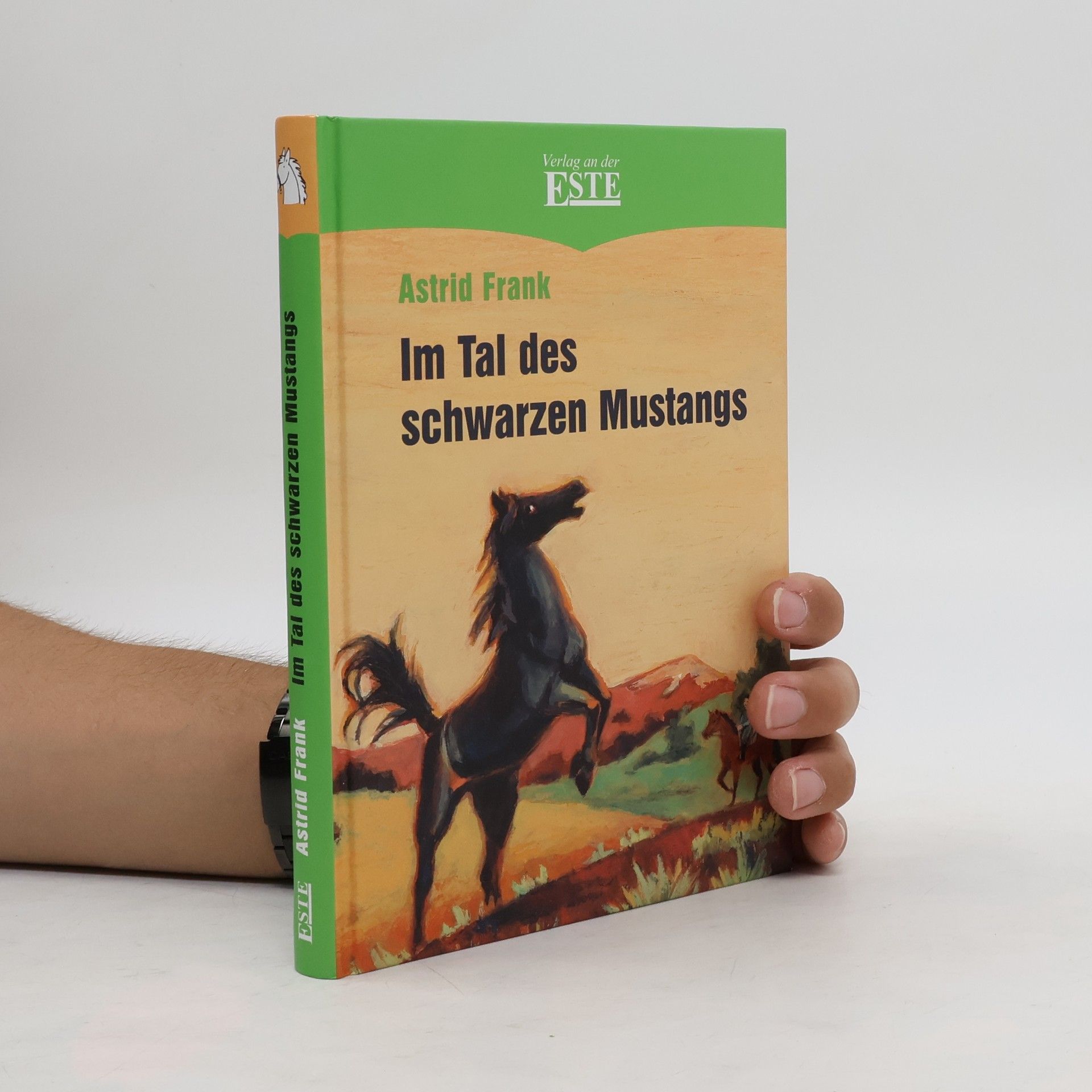 Astrid Frank Im Tal des schwarzen Mustangs